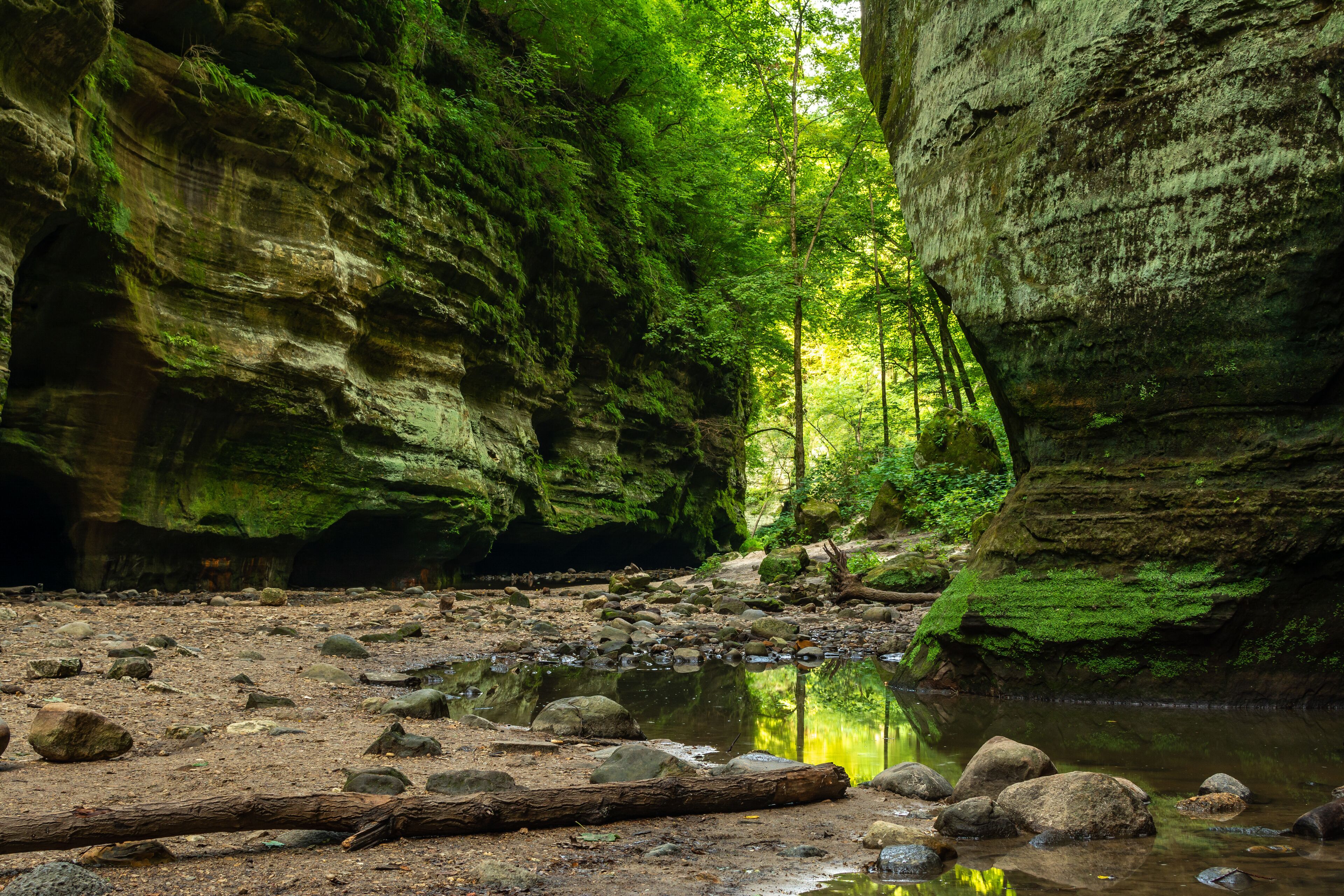 A natural cave setting with a stream, rocks, and moss-covered walls.