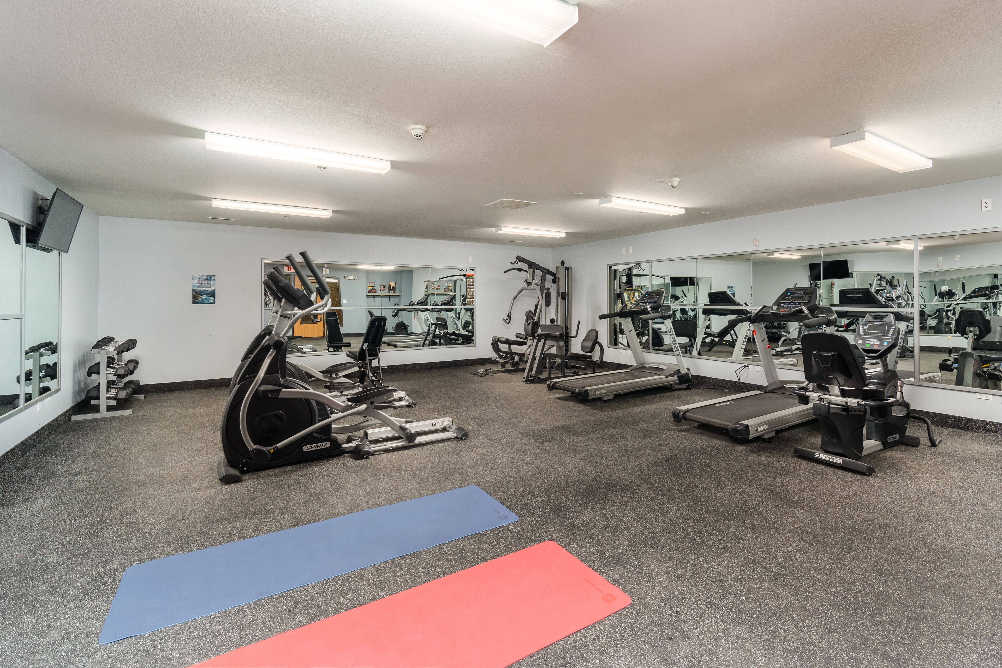 Un gimnasio con diferentes equipos de ejercicio, como cintas de correr, elípticas y pesas sueltas.