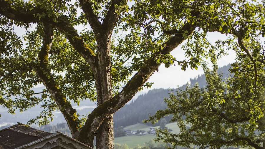 Hotel AlpenSchlössl