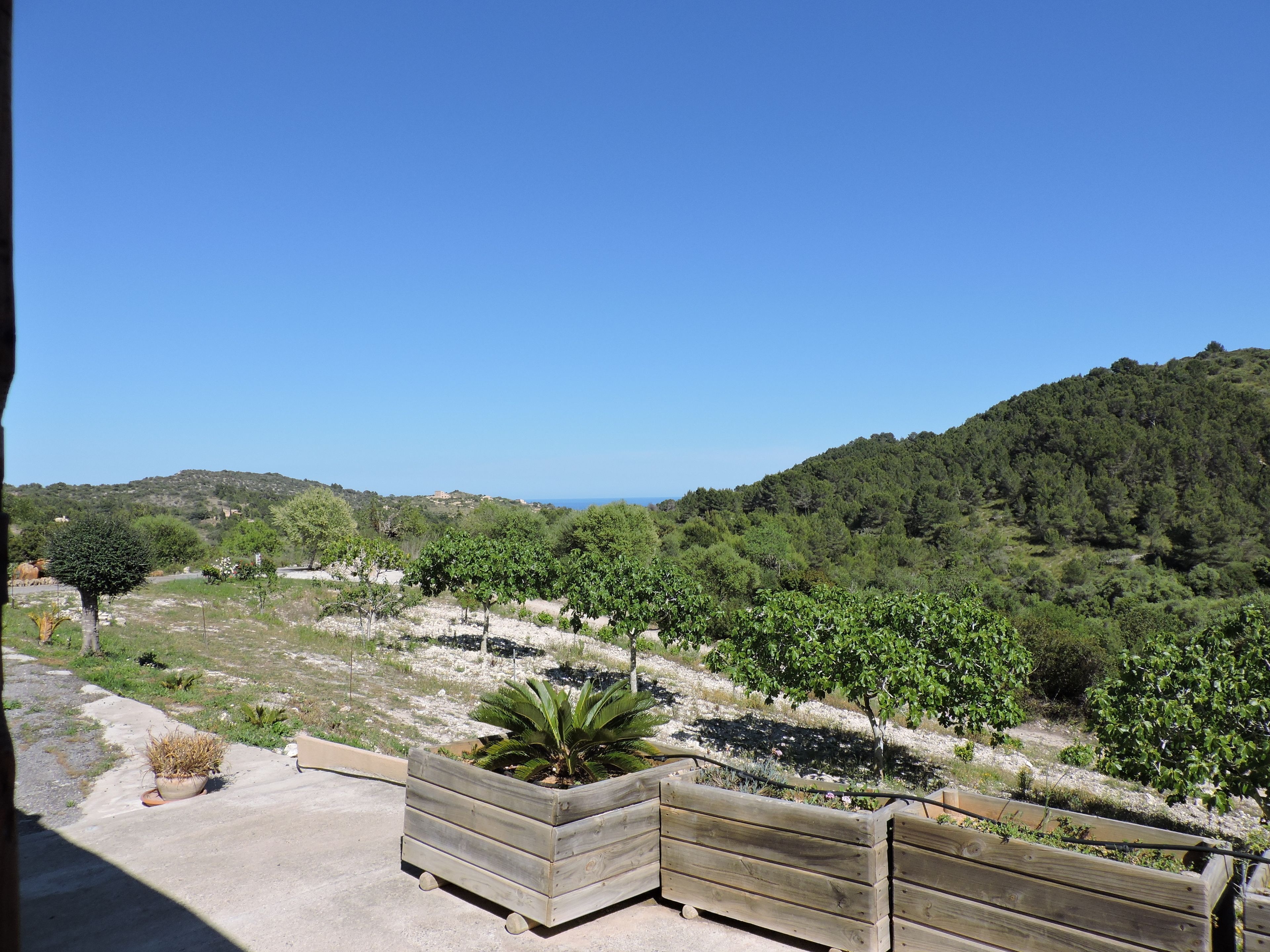 Photo - Agroturisme Es Picot