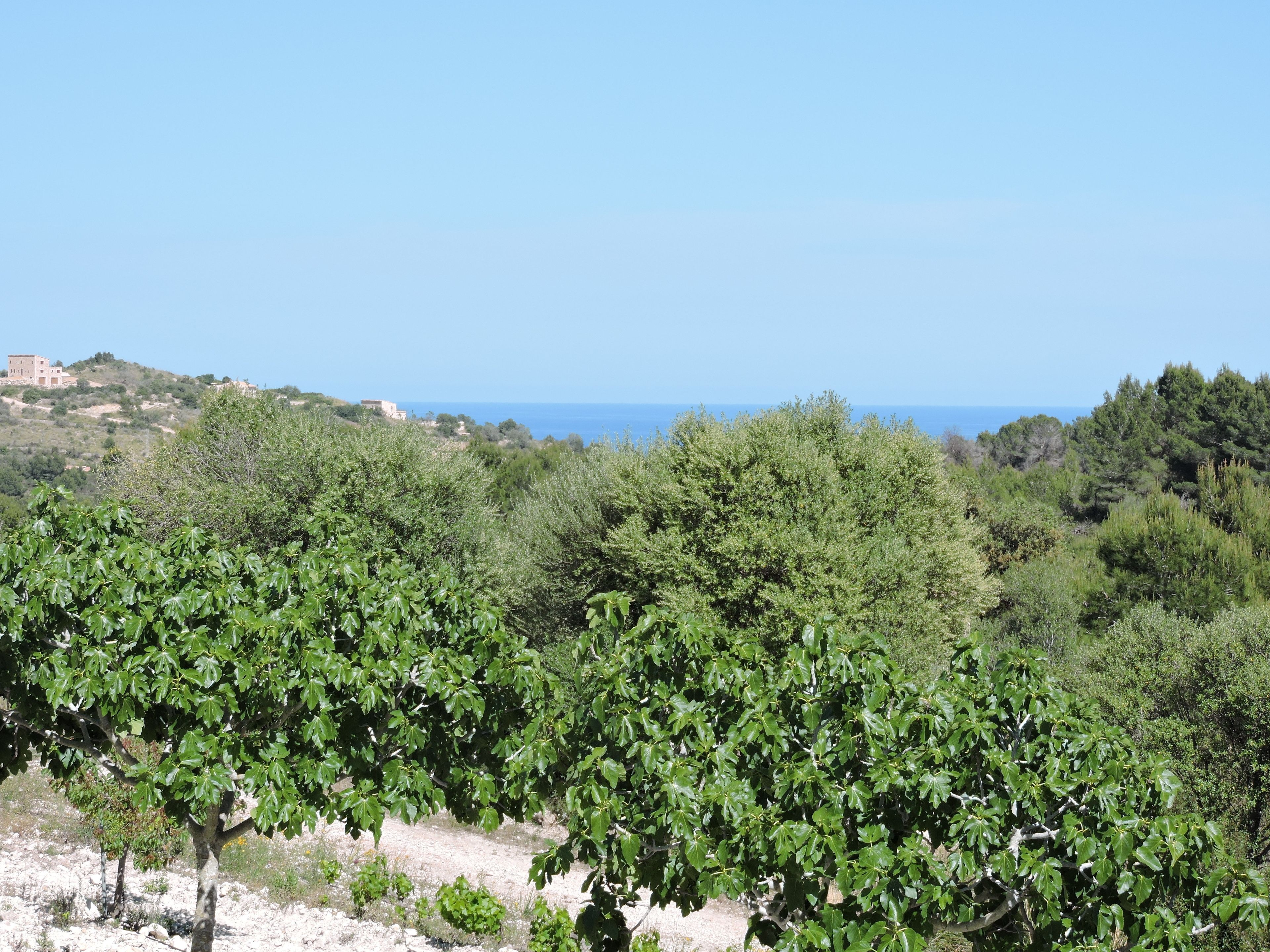 Photo - Agroturisme Es Picot