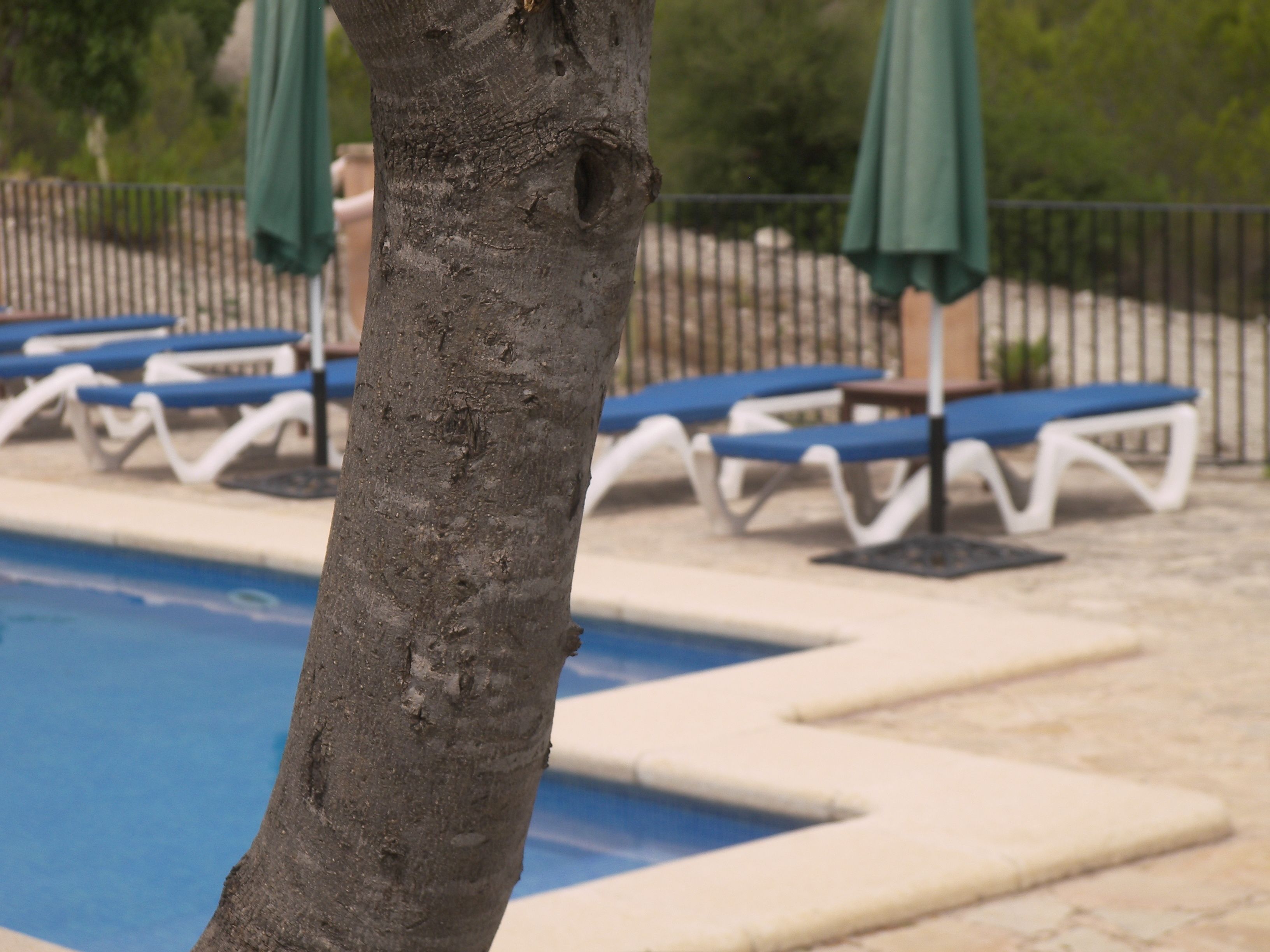 Foto - Agroturisme Es Picot