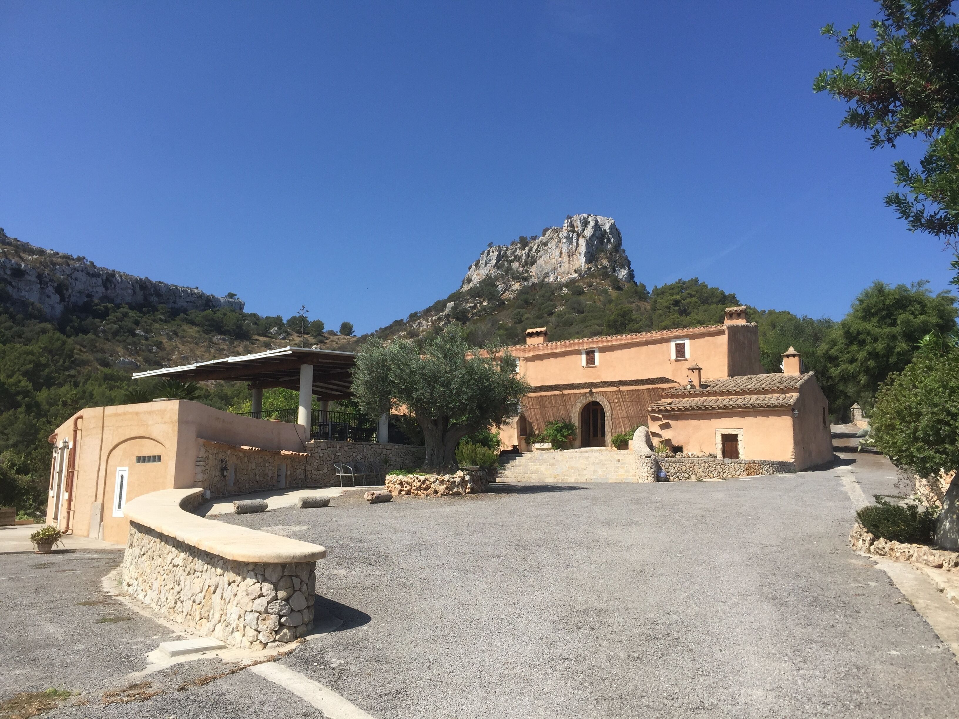 Photo - Agroturisme Es Picot