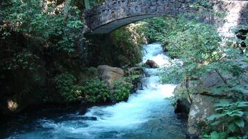 Uma ponte de pedra sobre um rio corrente, rodeada por vegetação exuberante.