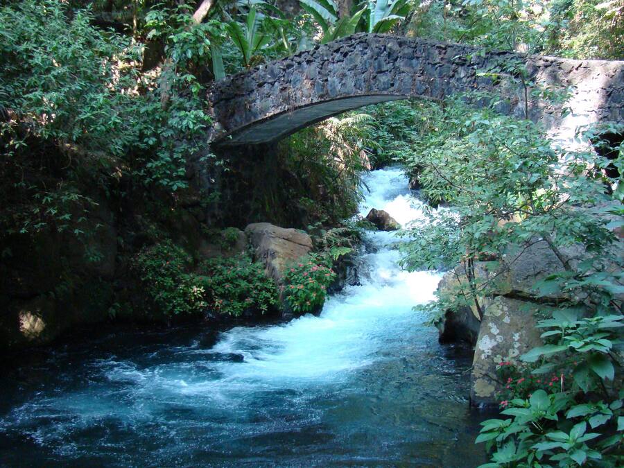 Uma ponte de pedra sobre um rio corrente, rodeada por vegetação exuberante.