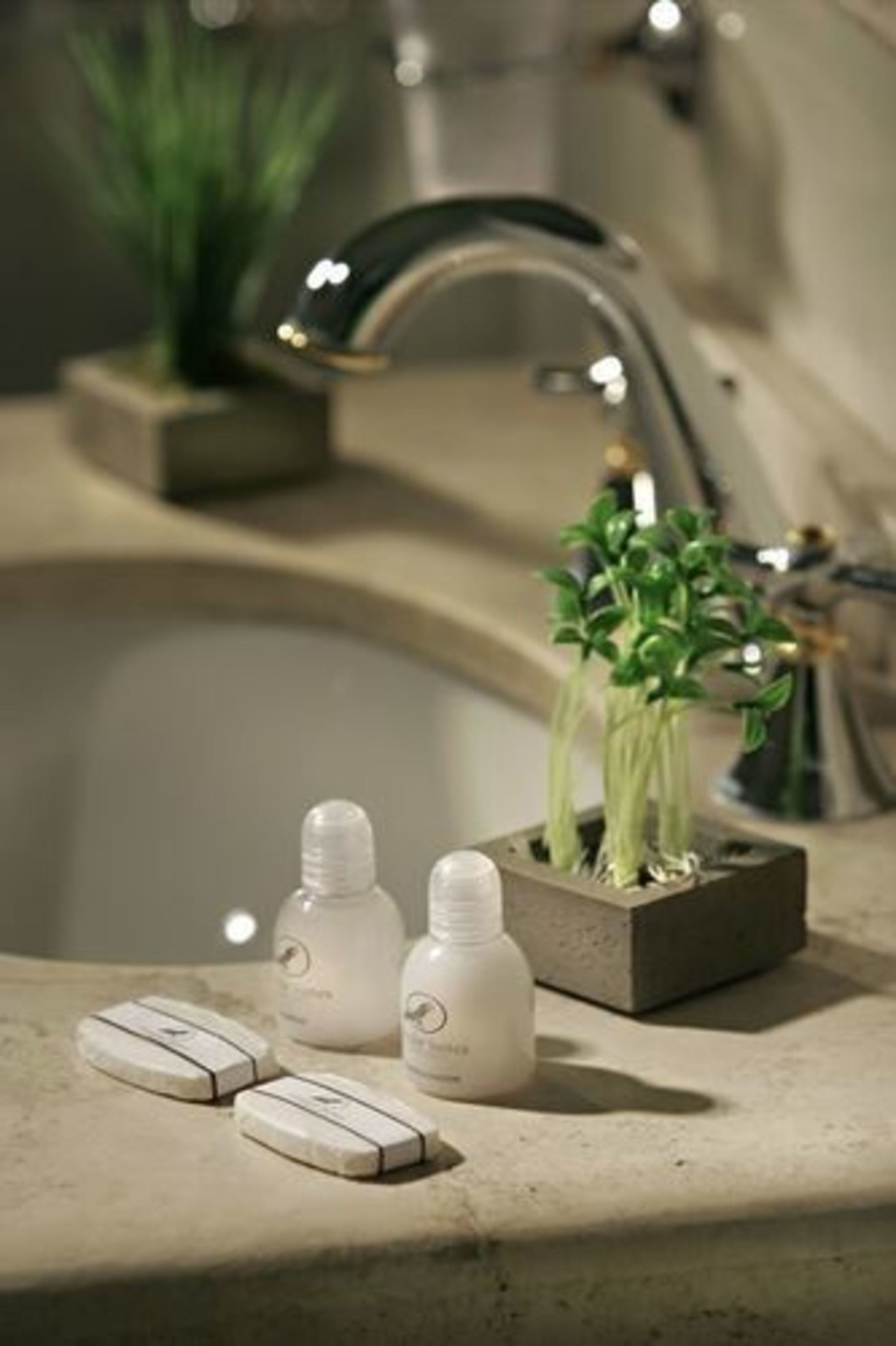A bathroom with a sink, two bottles of liquid, and a potted plant.