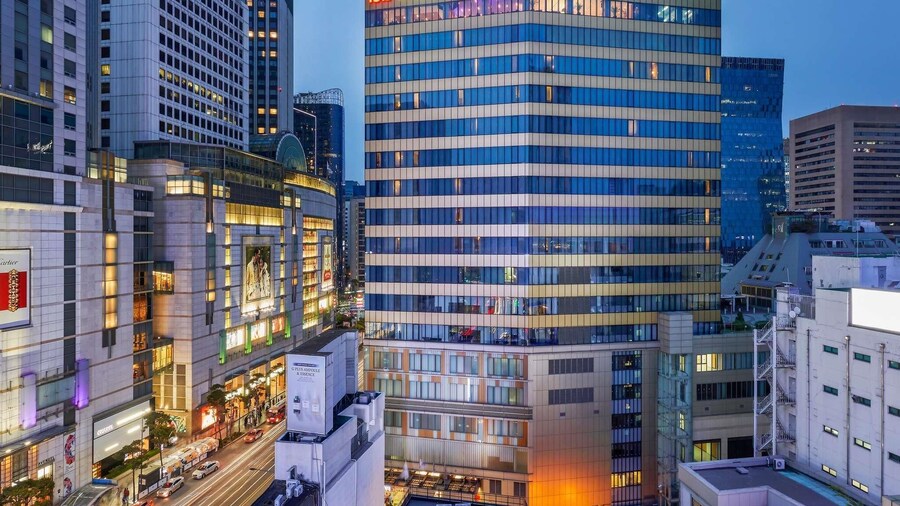 ibis Ambassador Seoul Myeongdong