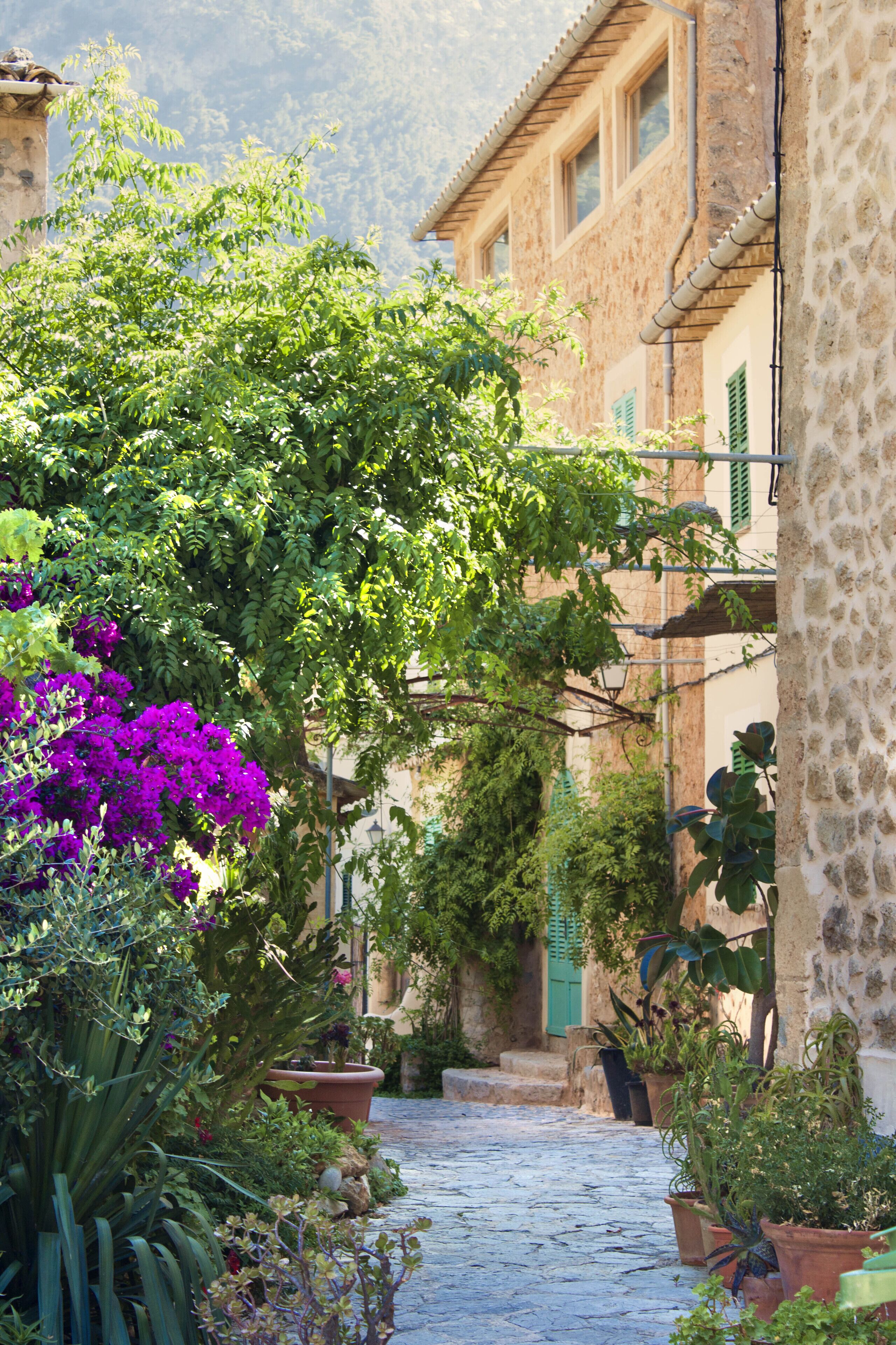 Foto - Es Moli Hotel