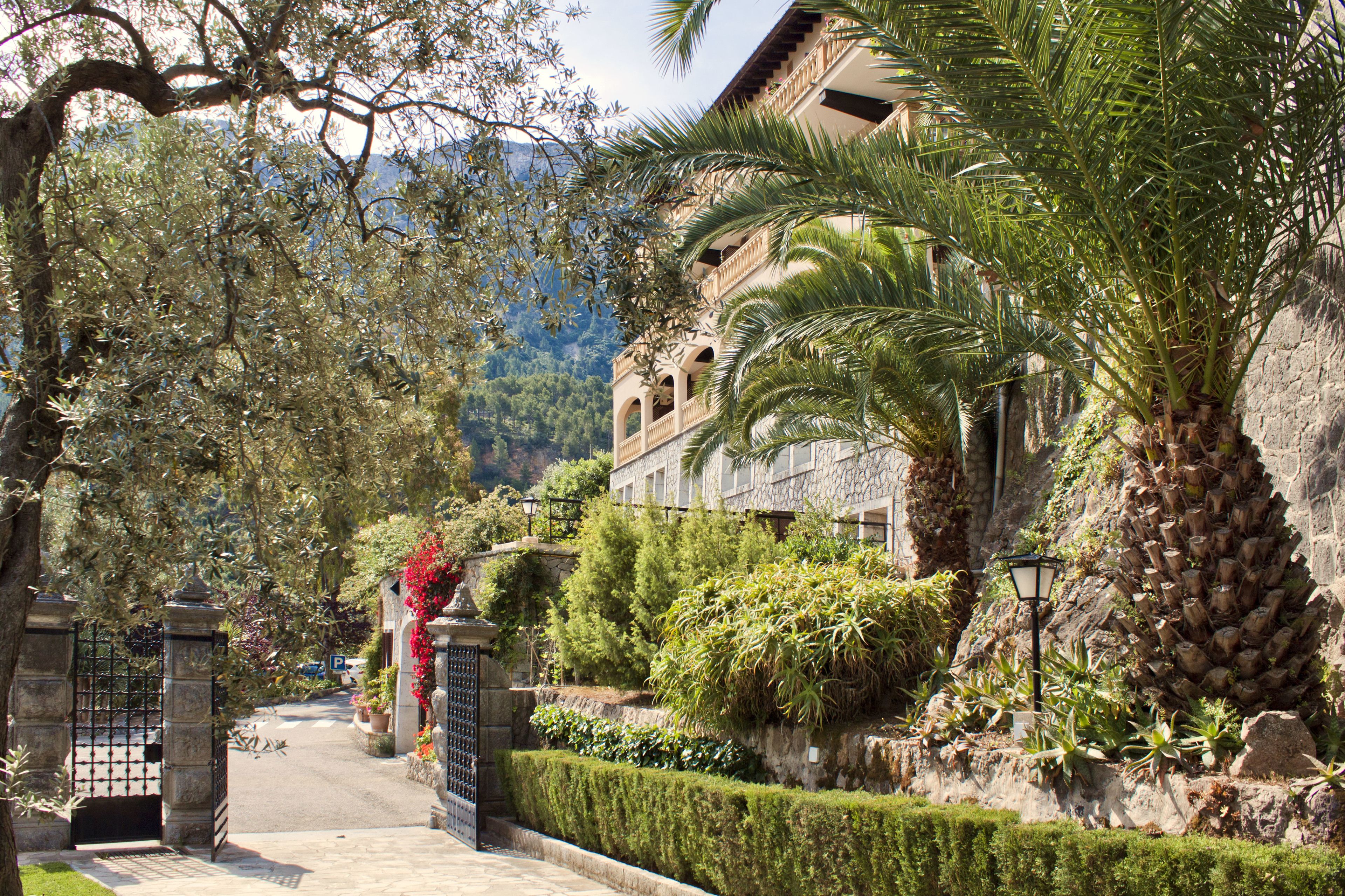 Foto - Es Moli Hotel