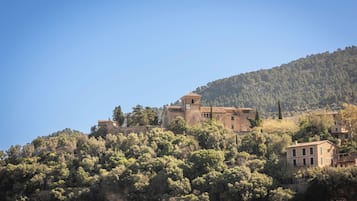 A hillside building with multiple structures, surrounded by dense trees and a clear sky.