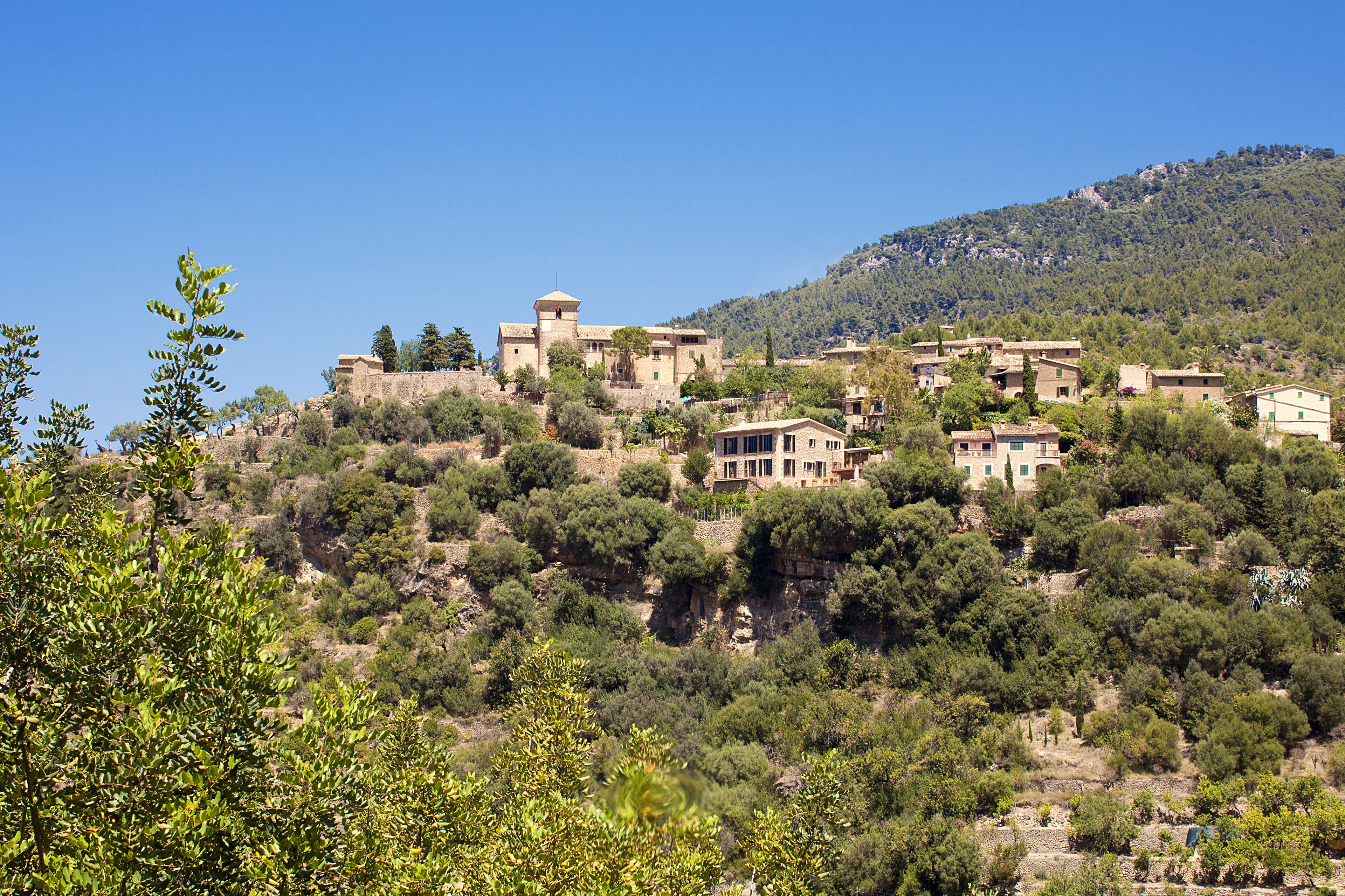 land view from property