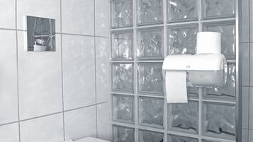 Ein Badezimmer mit Toilette, einer Glasblockwand und einem Papierhandtuchspender.