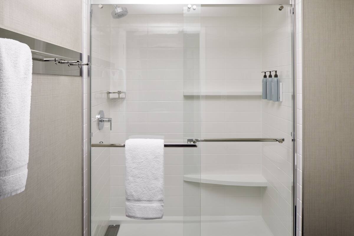 combined shower/bathtub, free toiletries, hair dryer, towels