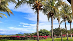 Zona verde con palmeras y flores rosadas, y una montaña al fondo.