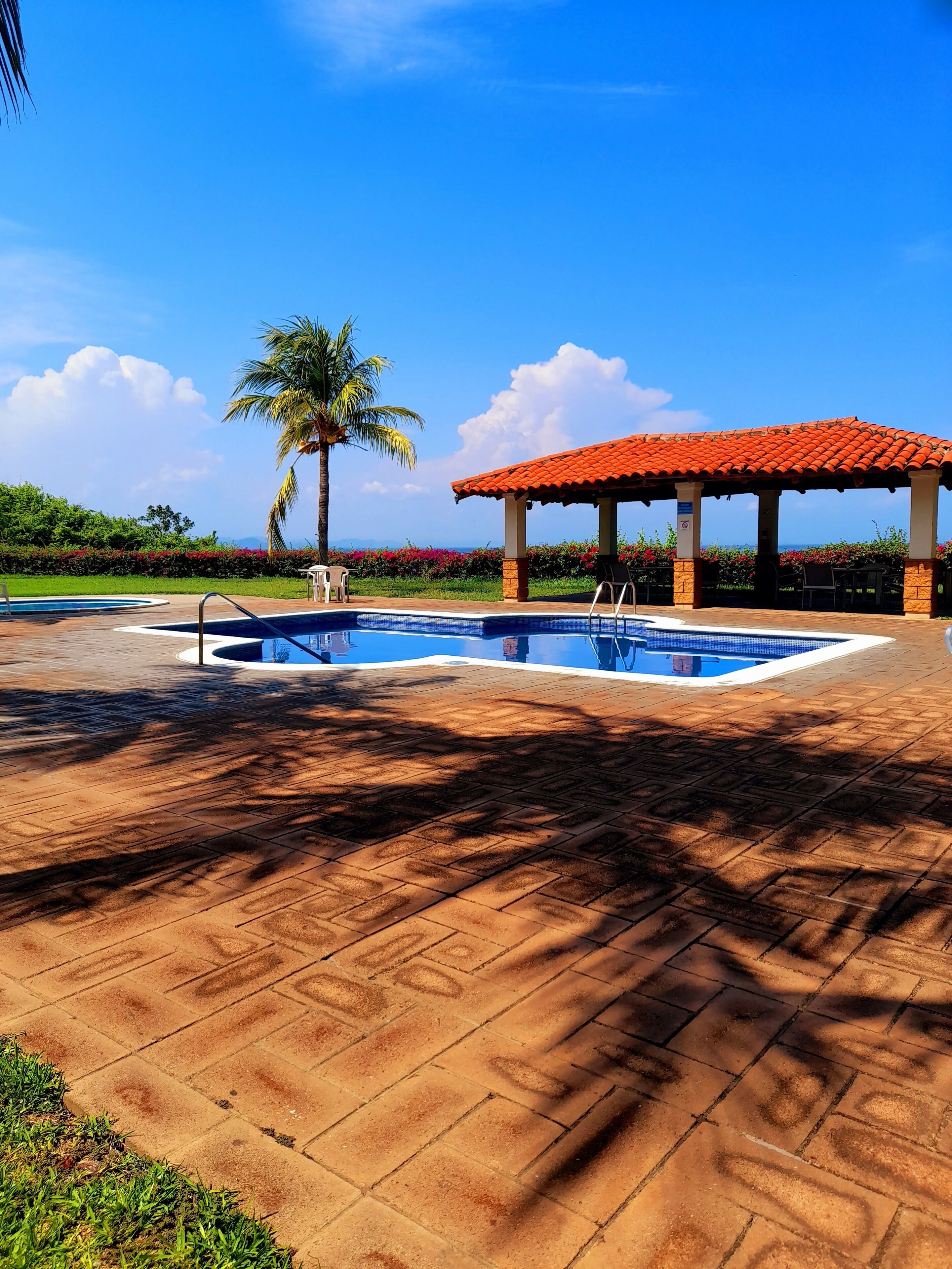 A pool area with two pools, a covered seating area, and a palm tree.