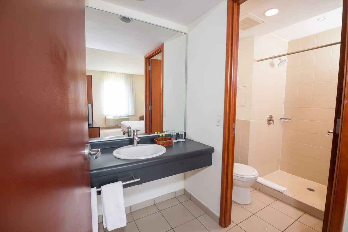 standard room, 1 queen bed, non smoking | bathroom | shower, hair dryer, towels, soap