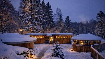 Sauna, body treatments, aromatherapy, body wraps, body scrubs, facials