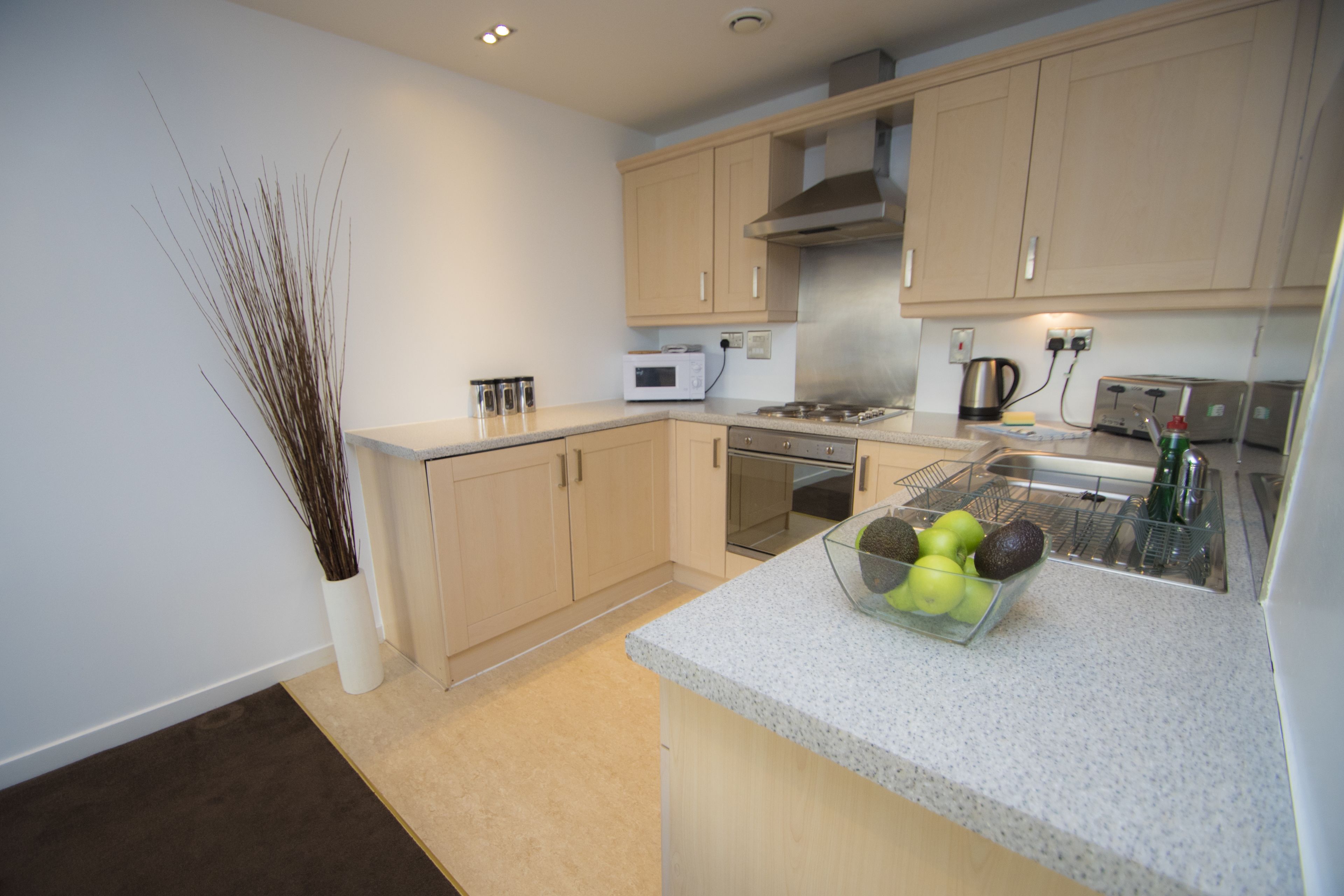 standard apartment, 2 bedrooms | private kitchen | full-sized fridge, microwave, oven, stovetop