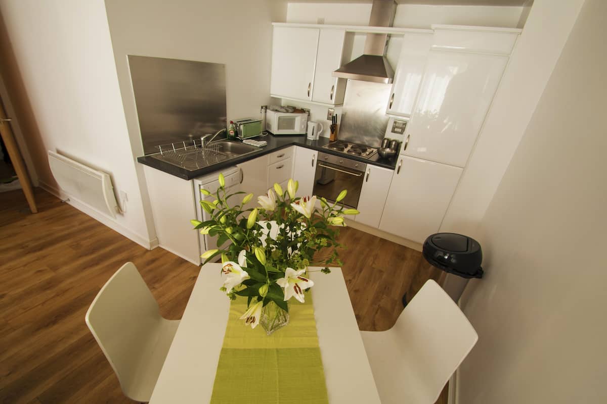 standard apartment, 2 bedrooms | private kitchen | full-sized fridge, microwave, oven, stovetop