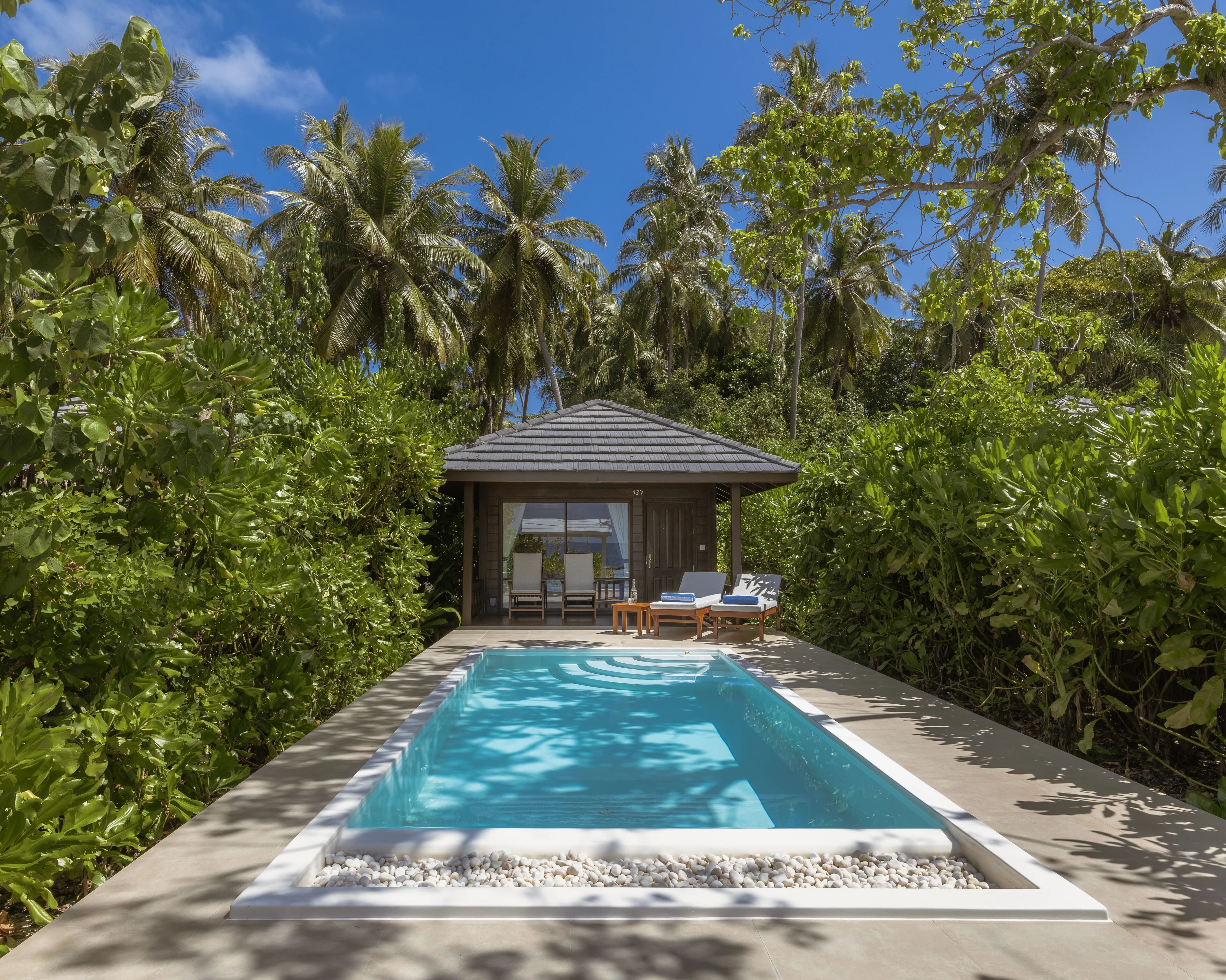Un espace piscine avec des chaises longues, un petit bâtiment et une végétation tropicale luxuriante.