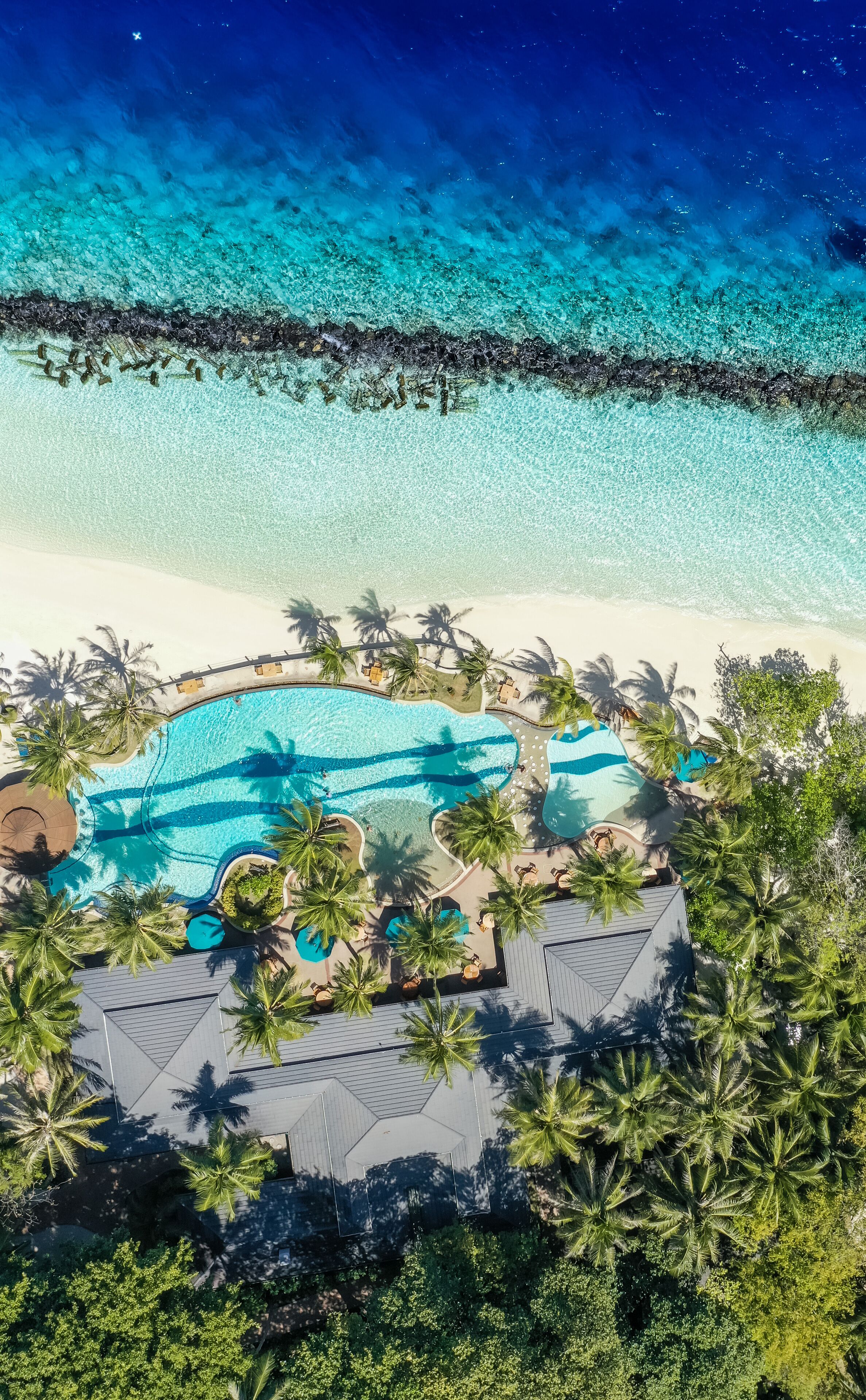 Outdoor pool, pool umbrellas, pool loungers