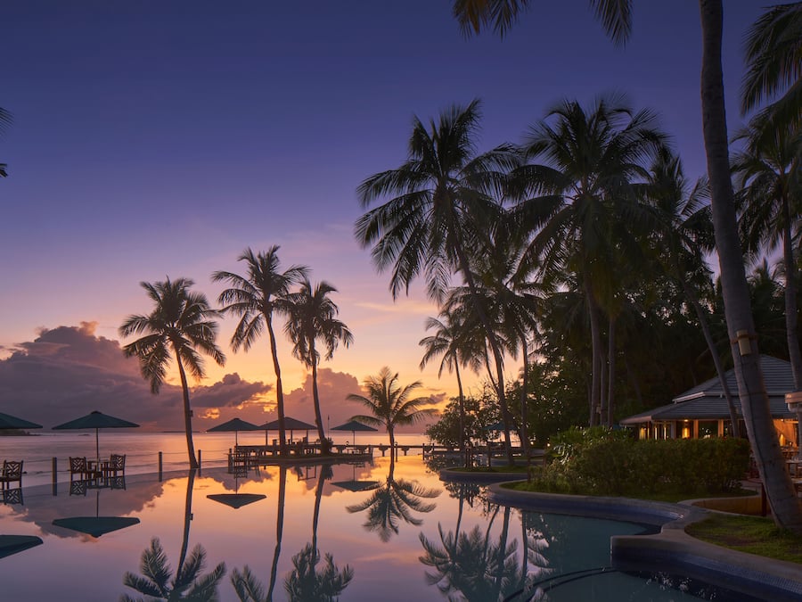 A resort pool area with palm trees, lounge chairs, and umbrellas.