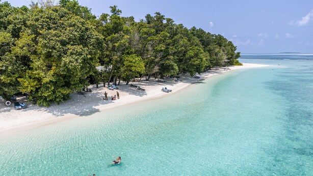 Una playa con agua turquesa cristalina, una orilla arenosa y árboles verdes y frondosos.