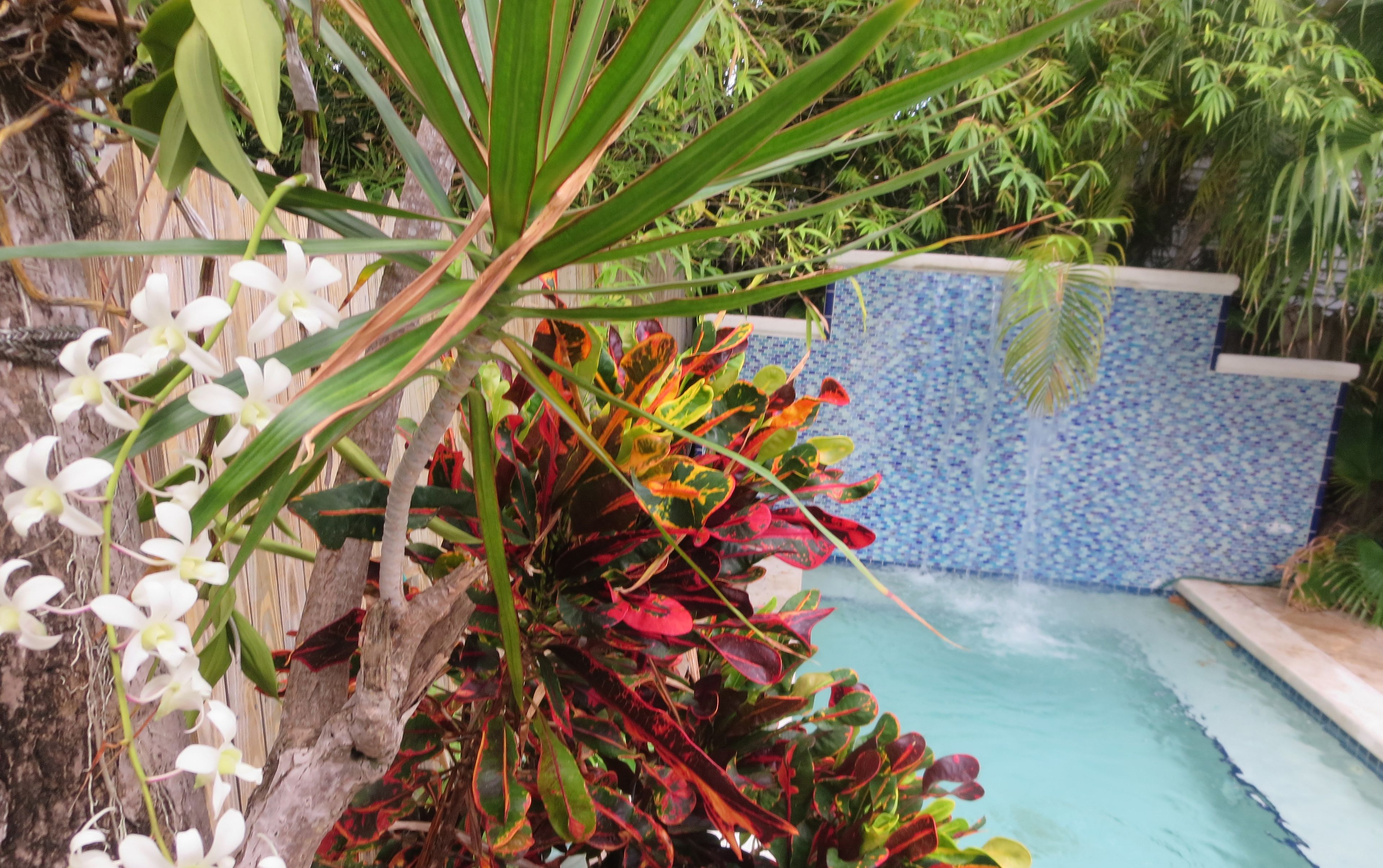 Foto - The Inn on Fleming