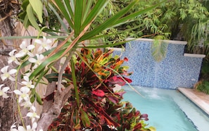 A pool area with a tiled wall and surrounding greenery. - The Inn on Fleming (Key West)