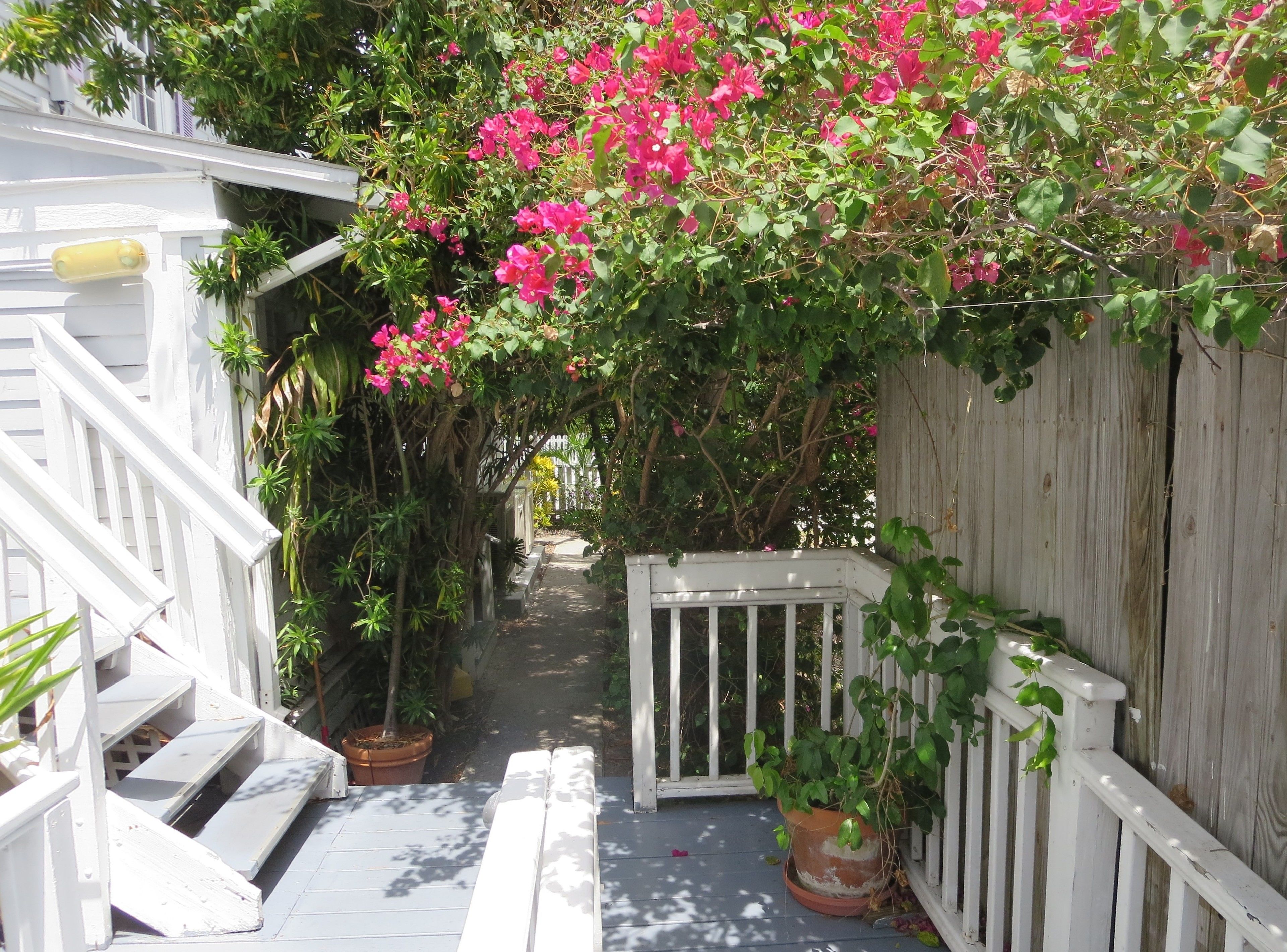 Foto - The Inn on Fleming