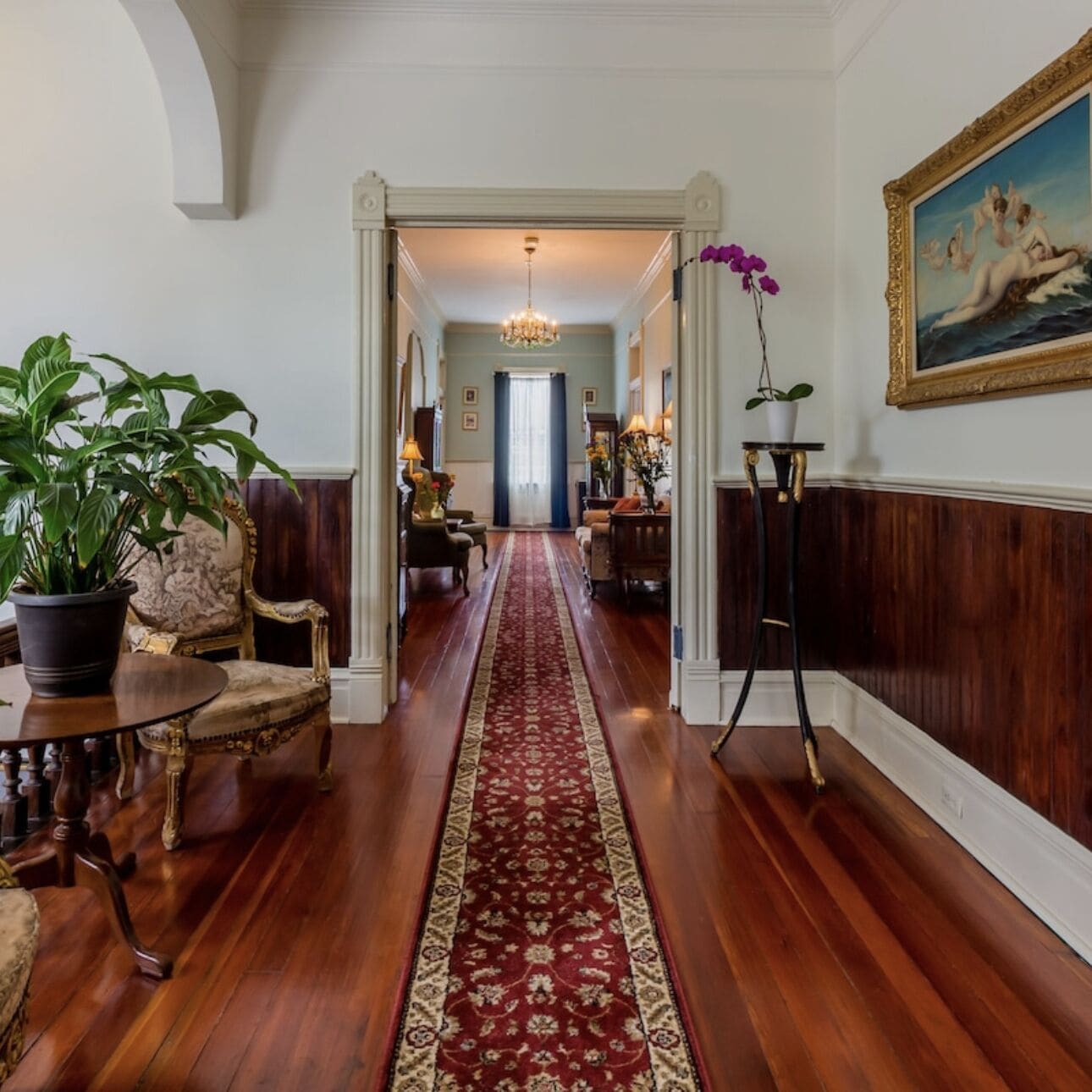 Foto - Amethyst Garden