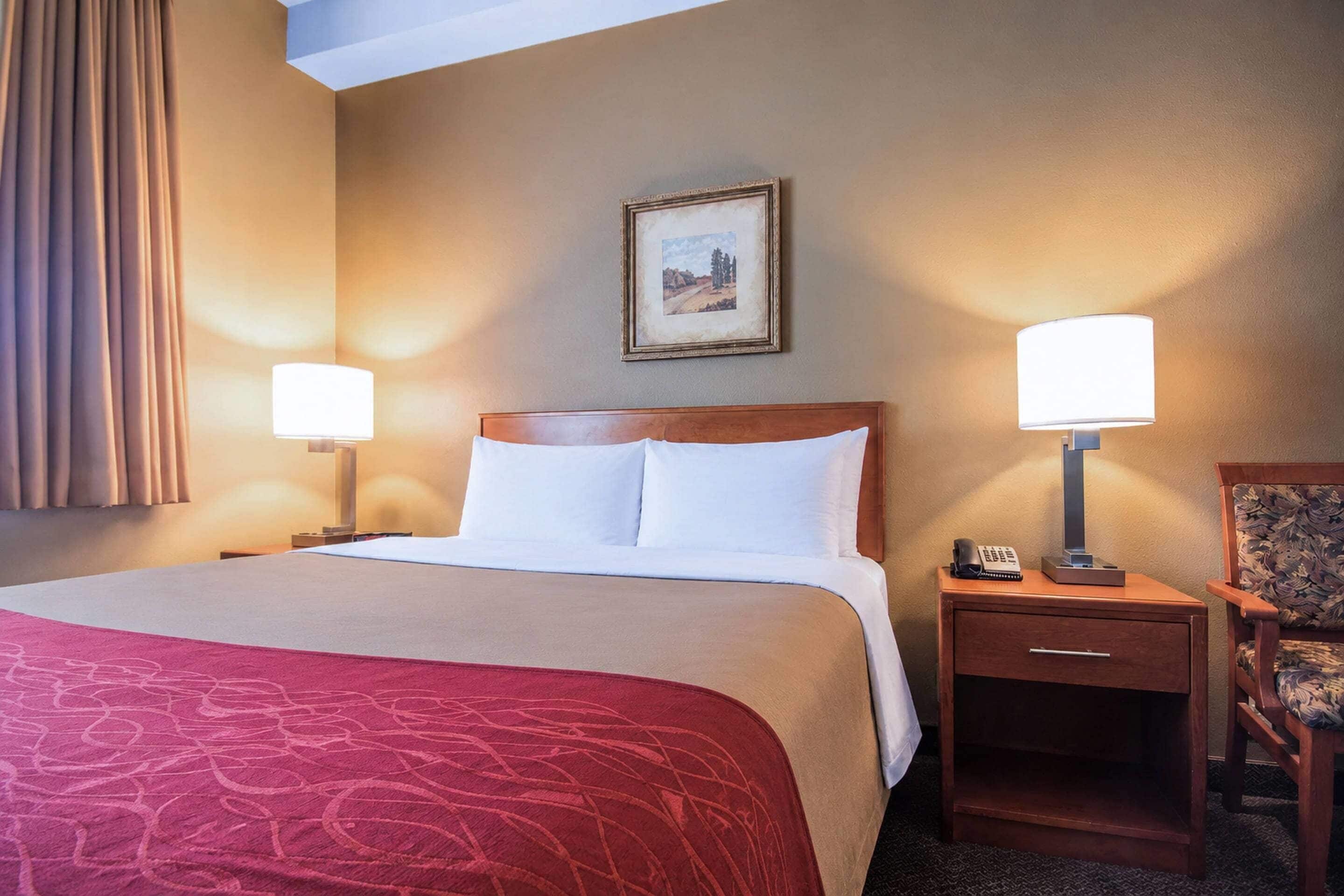 A hotel room with a large bed, two bedside lamps, a nightstand with a phone, a chair, and a framed picture on the wall.