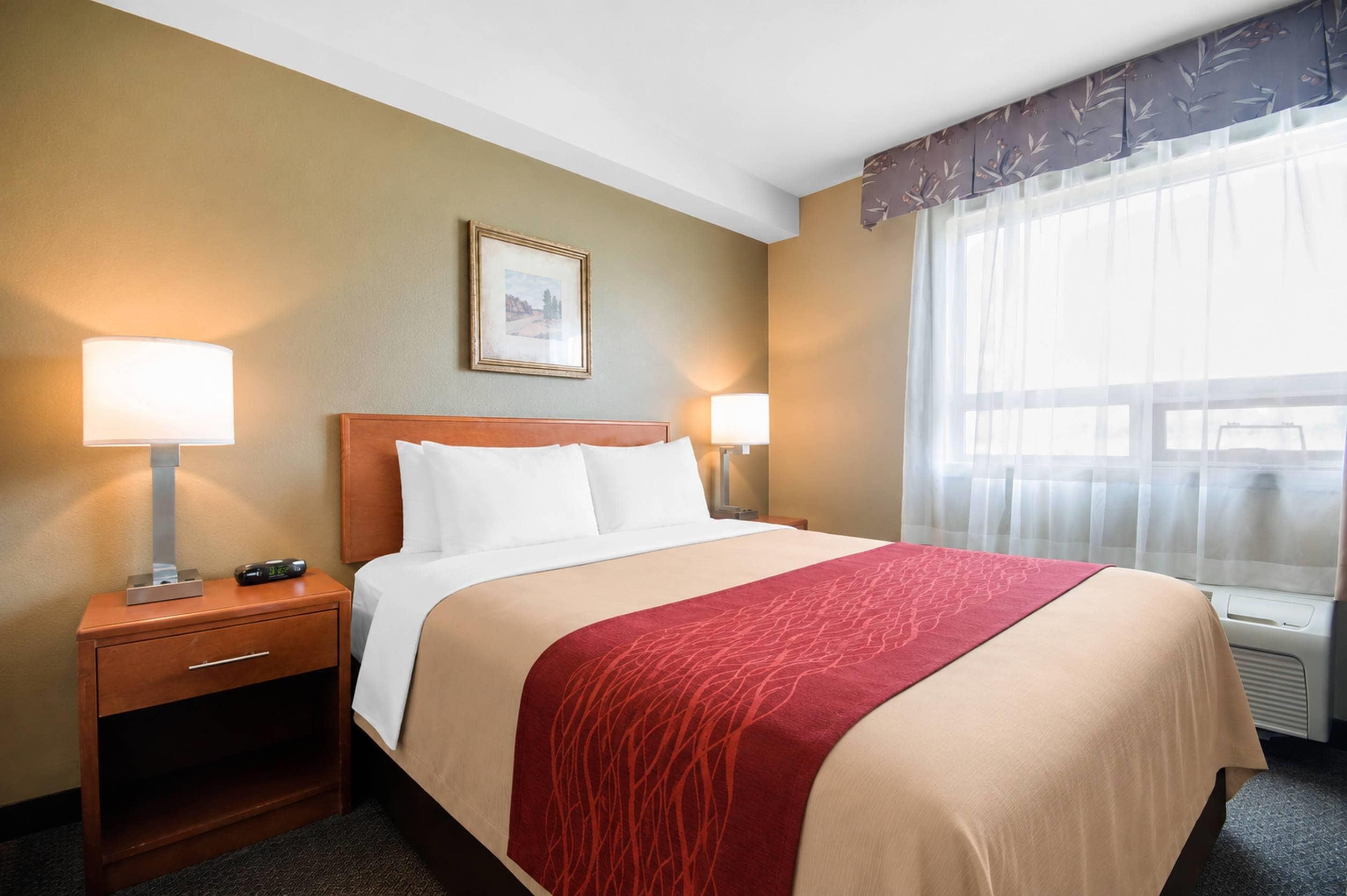 Quarto de hotel com cama, duas luminárias de cabeceira, mesa de apoio, quadro na parede e janela com cortinas leves.