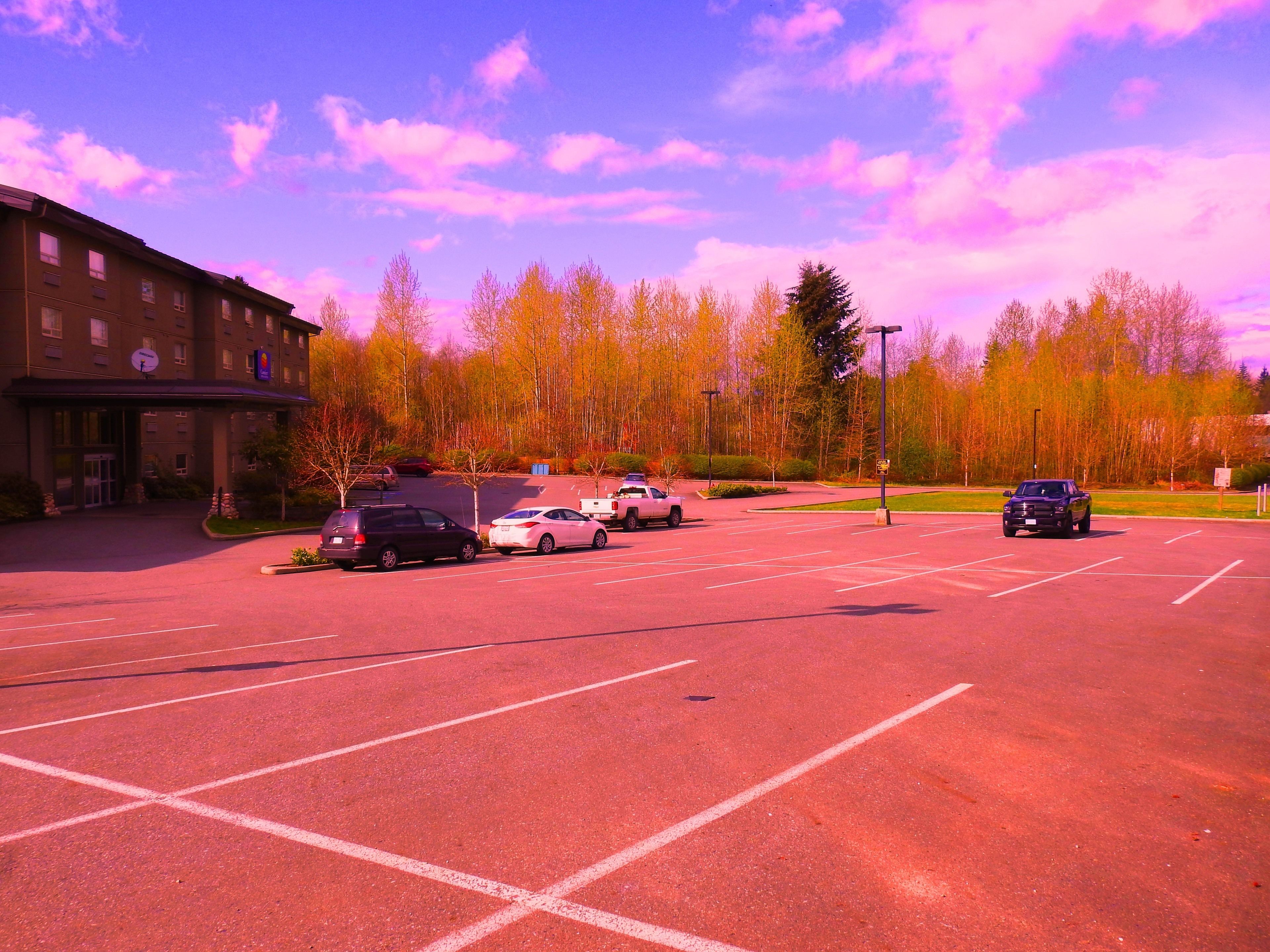 A parking lot with several cars, a building with multiple windows, and a forest in the background.