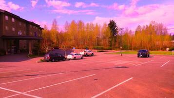A parking lot with several cars, a building with multiple windows, and a forest in the background.
