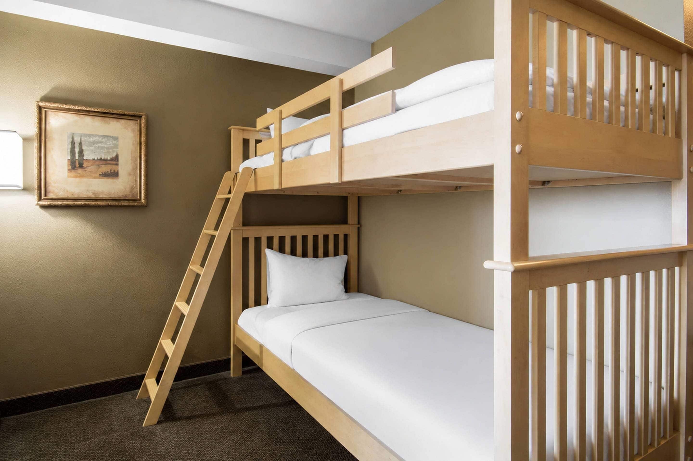 Habitación con literas, una escalera para subirlas, un cuadro en la pared y suelo alfombrado.
