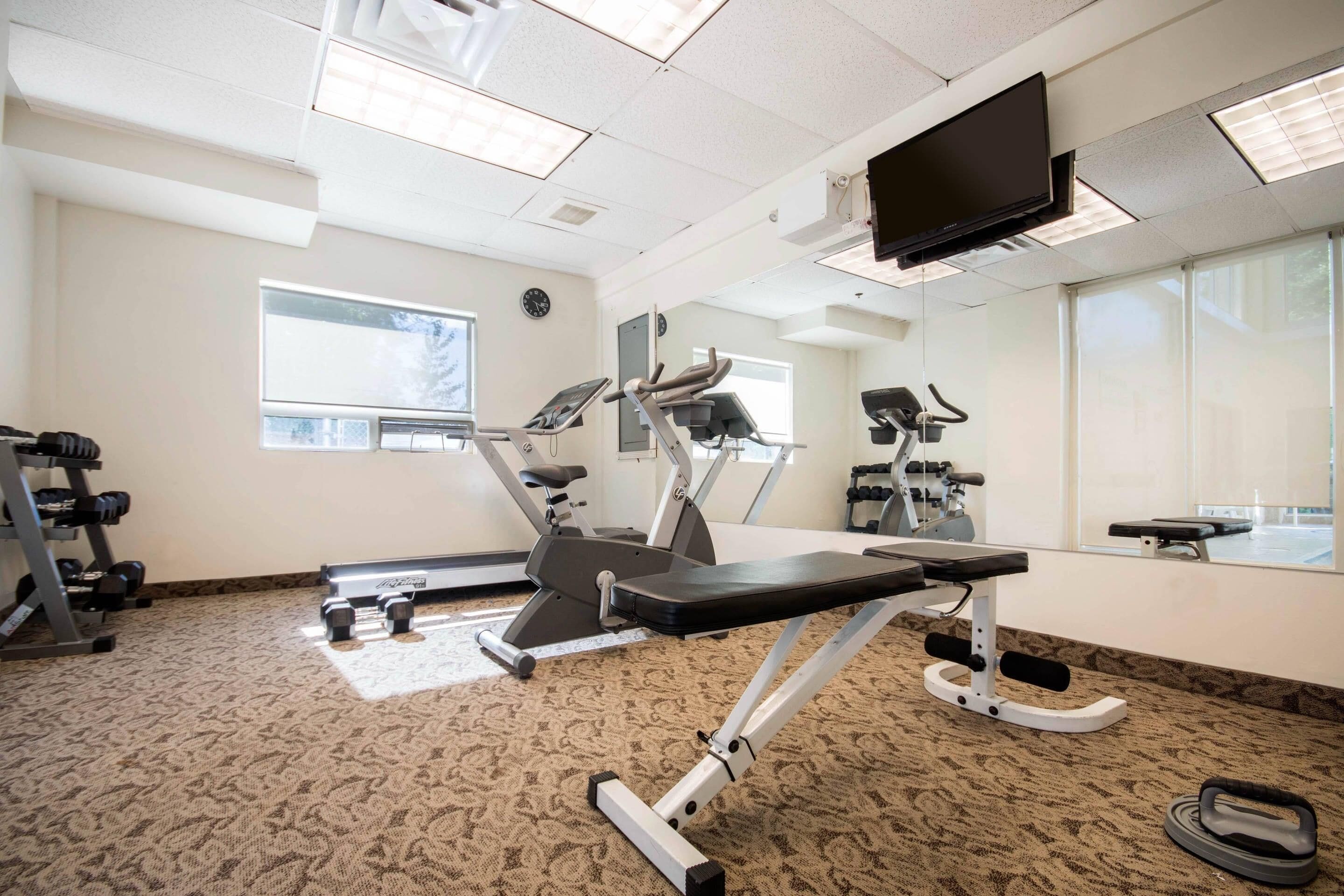 A gym with cardio machines, weight stations, and a TV screen.