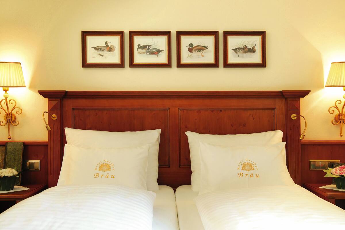 Single Room, Mountain View | In-room safe, cribs (free), WiFi (free), bed sheets