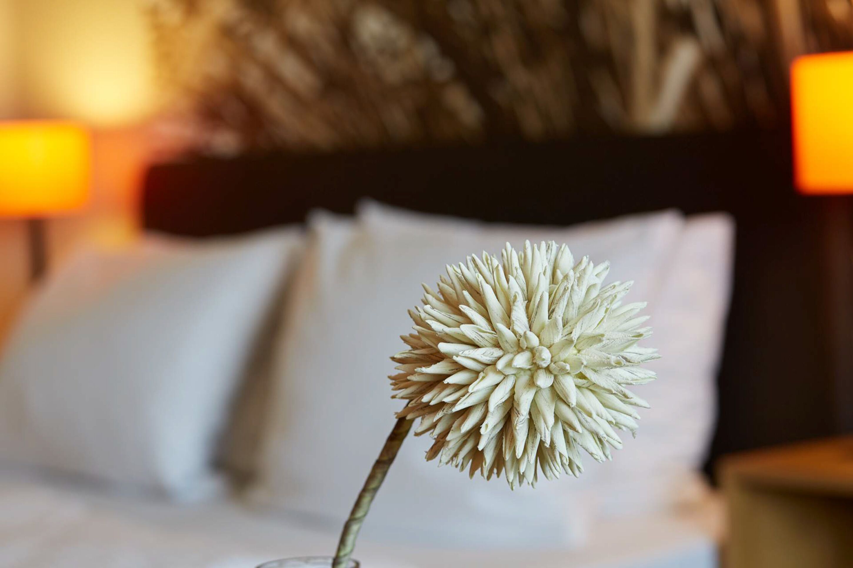 desk, soundproofing, cots/infant beds, rollaway beds