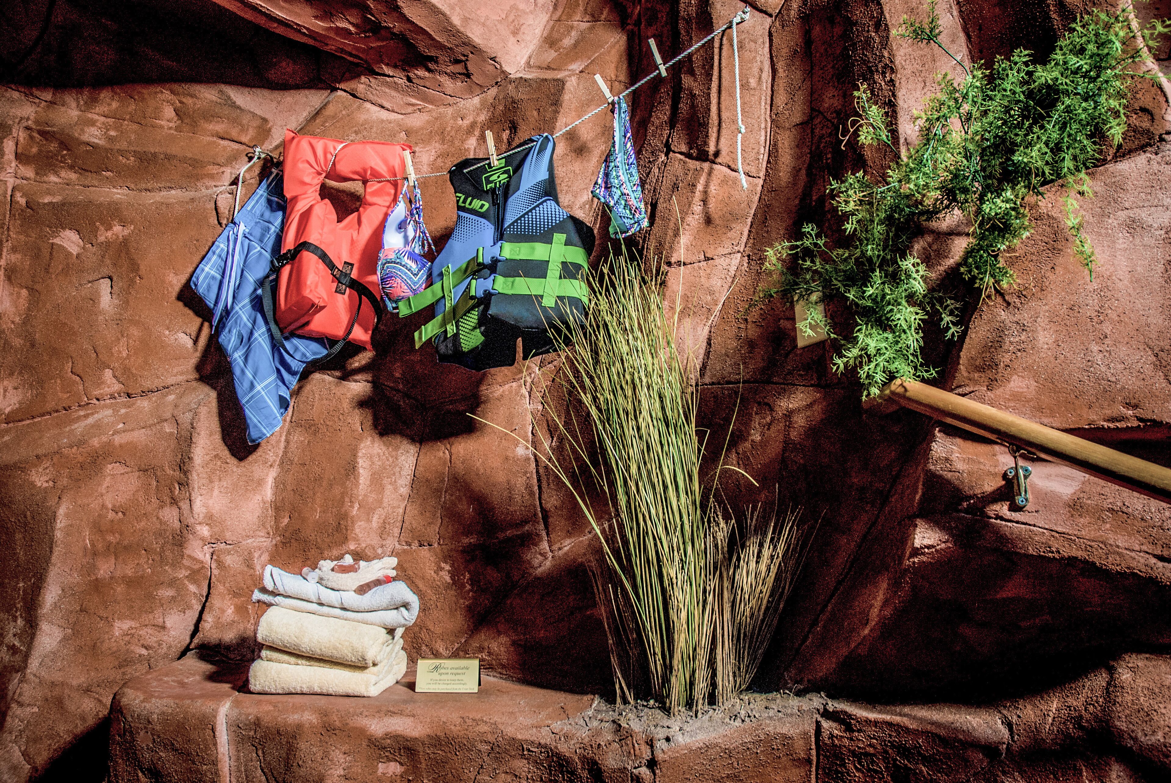 A rock wall with a rope and a plant growing out of a crevice.
