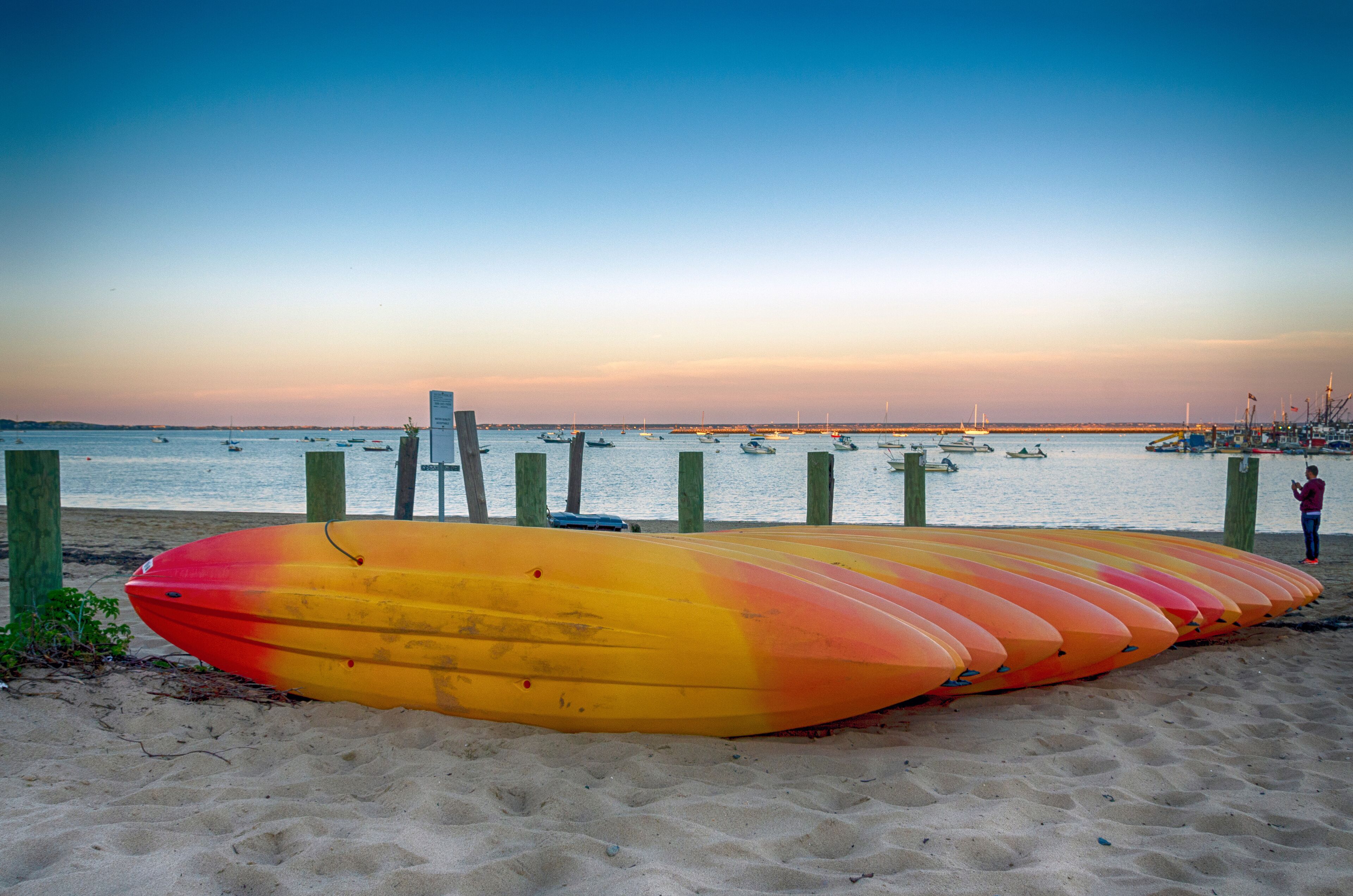 Kayakker stillet op i række på en sandstrand med havet i baggrunden.