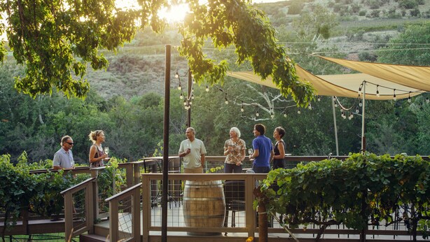 A vineyard with a wooden deck and a canopy providing shade. - Las Posadas of Sedona (Sedona)
