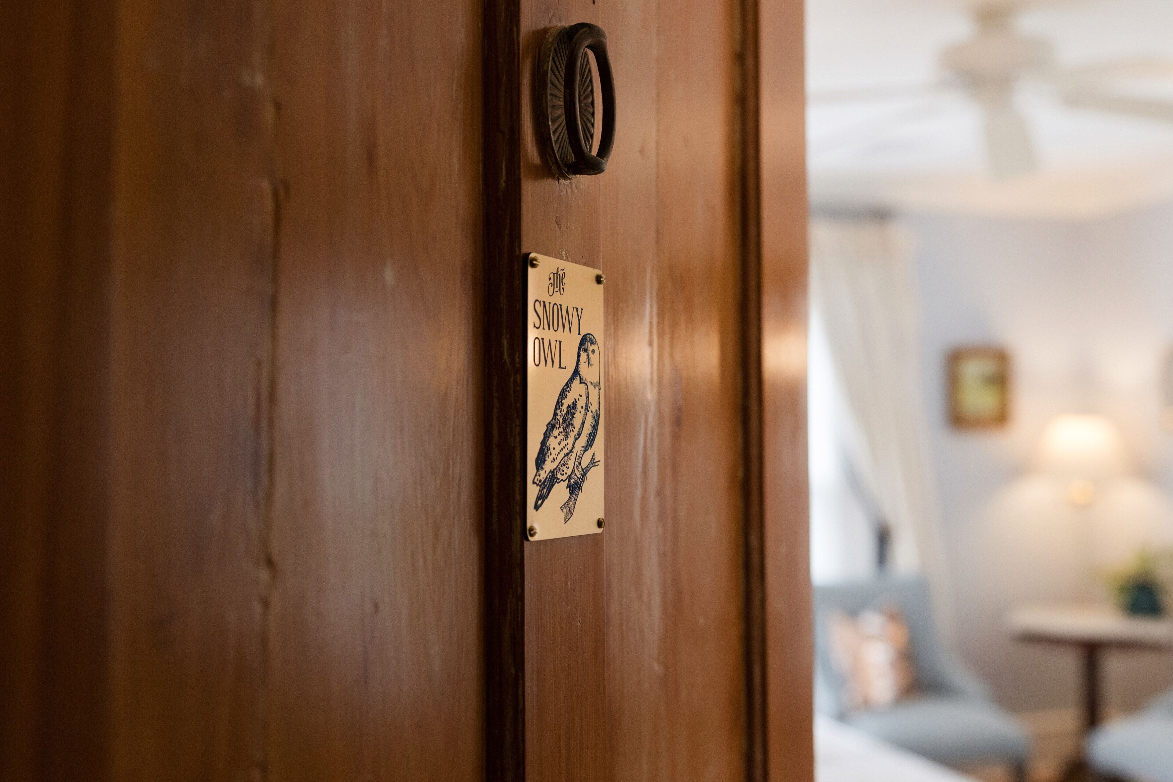 A wooden door with a sign that reads 'The Snowy Owl.'