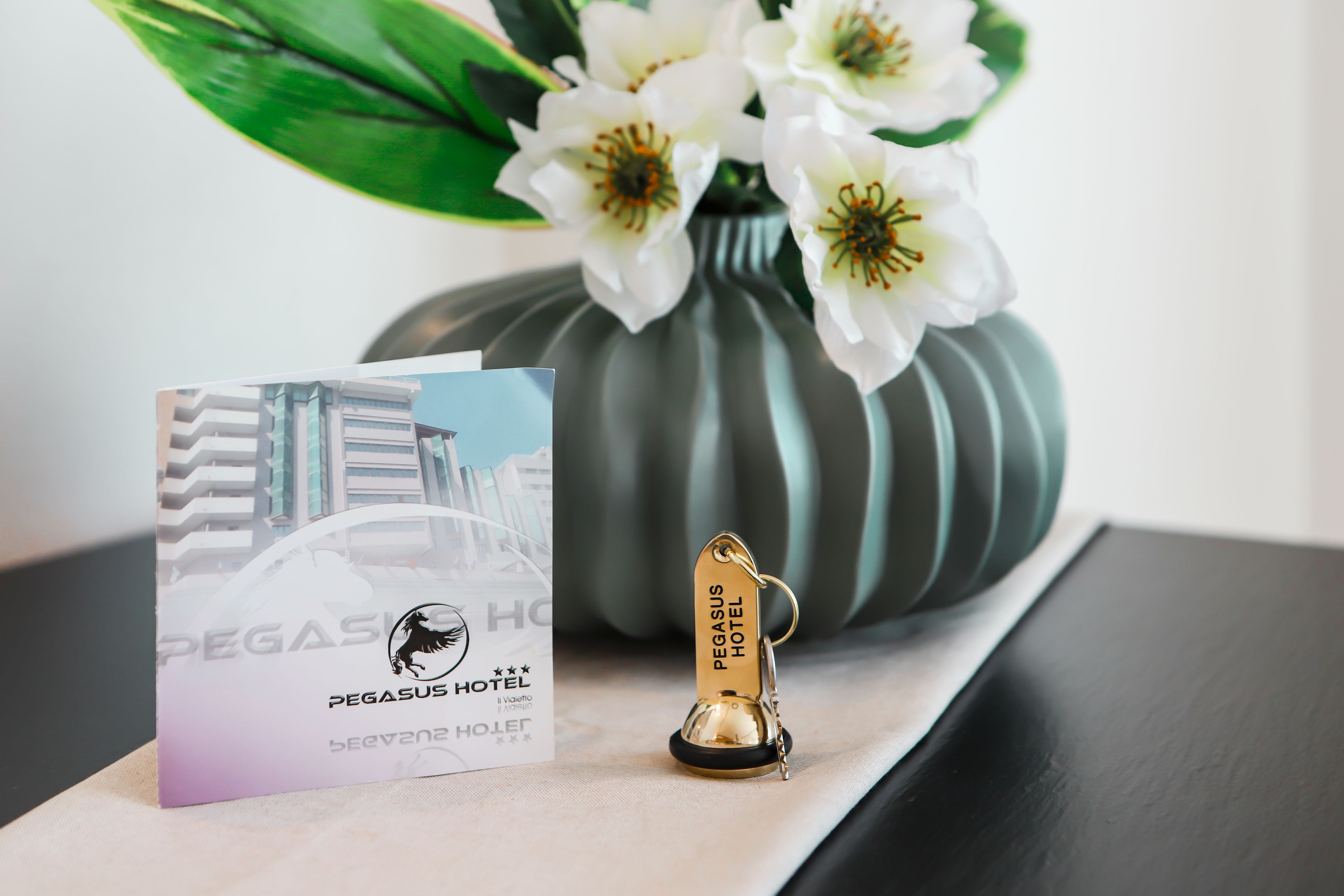 Foto - Pegasus Hotel