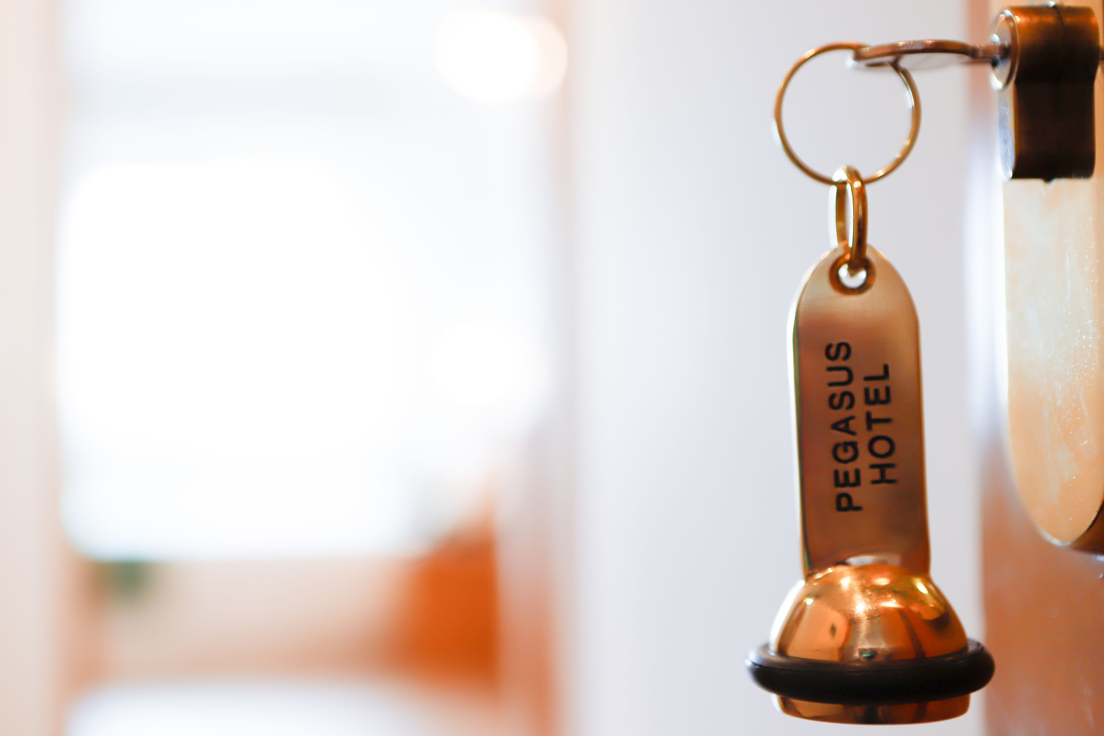 Foto - Pegasus Hotel