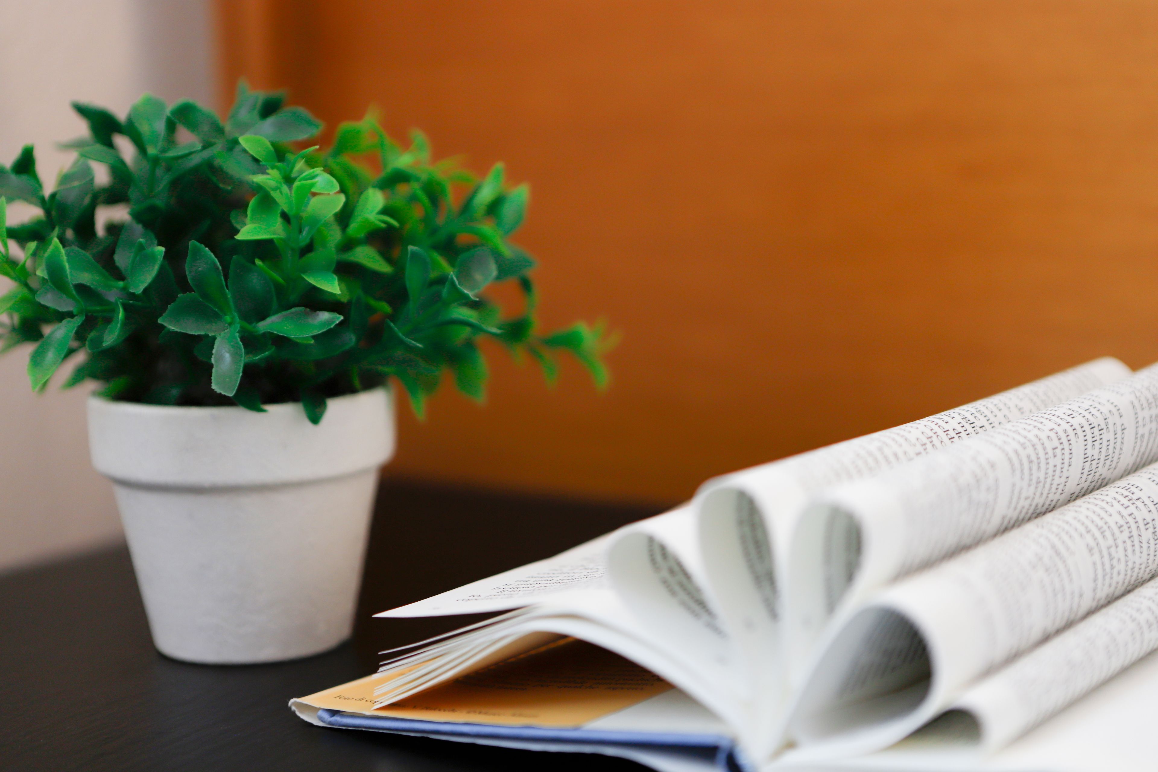 Foto - Pegasus Hotel