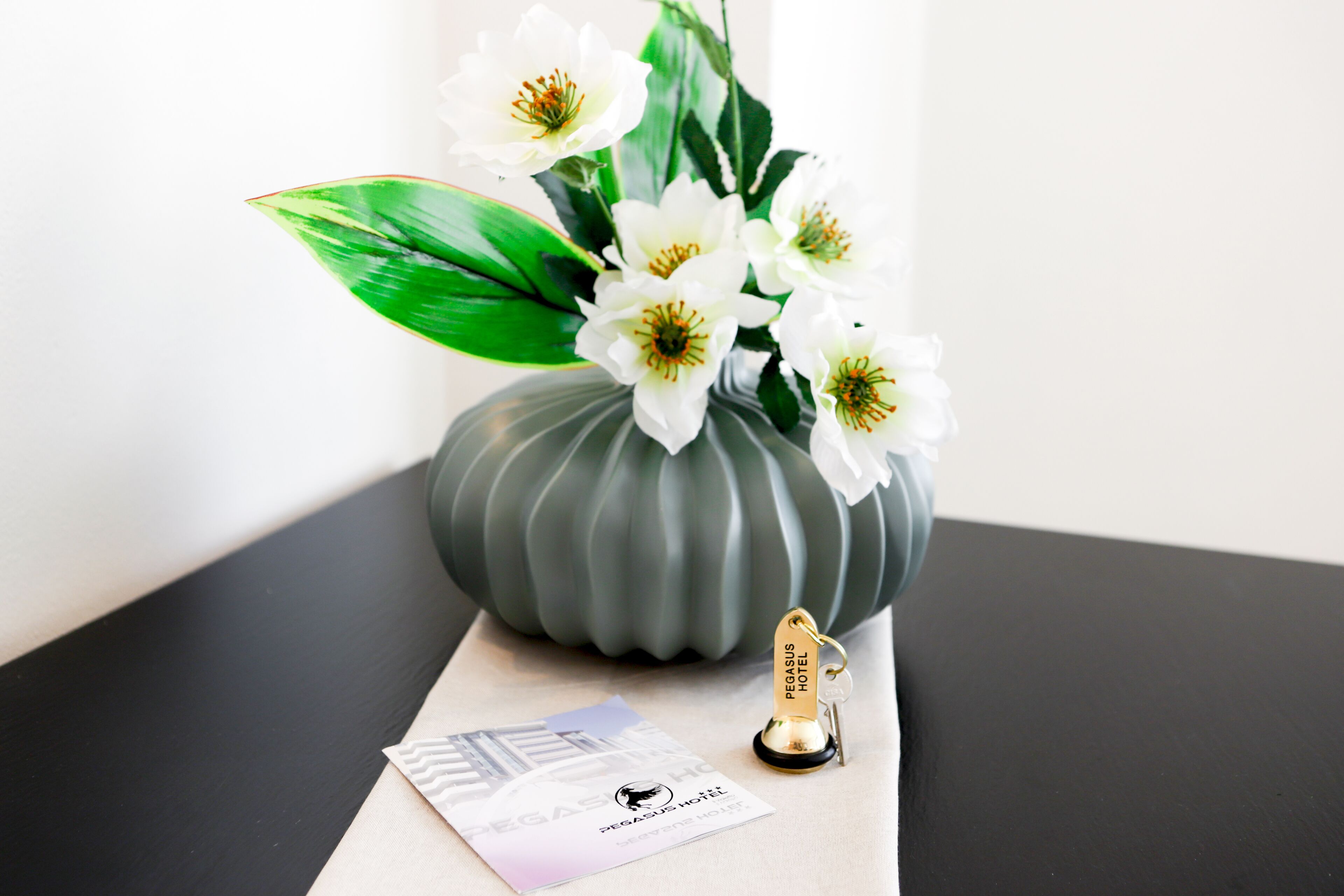 Foto - Pegasus Hotel