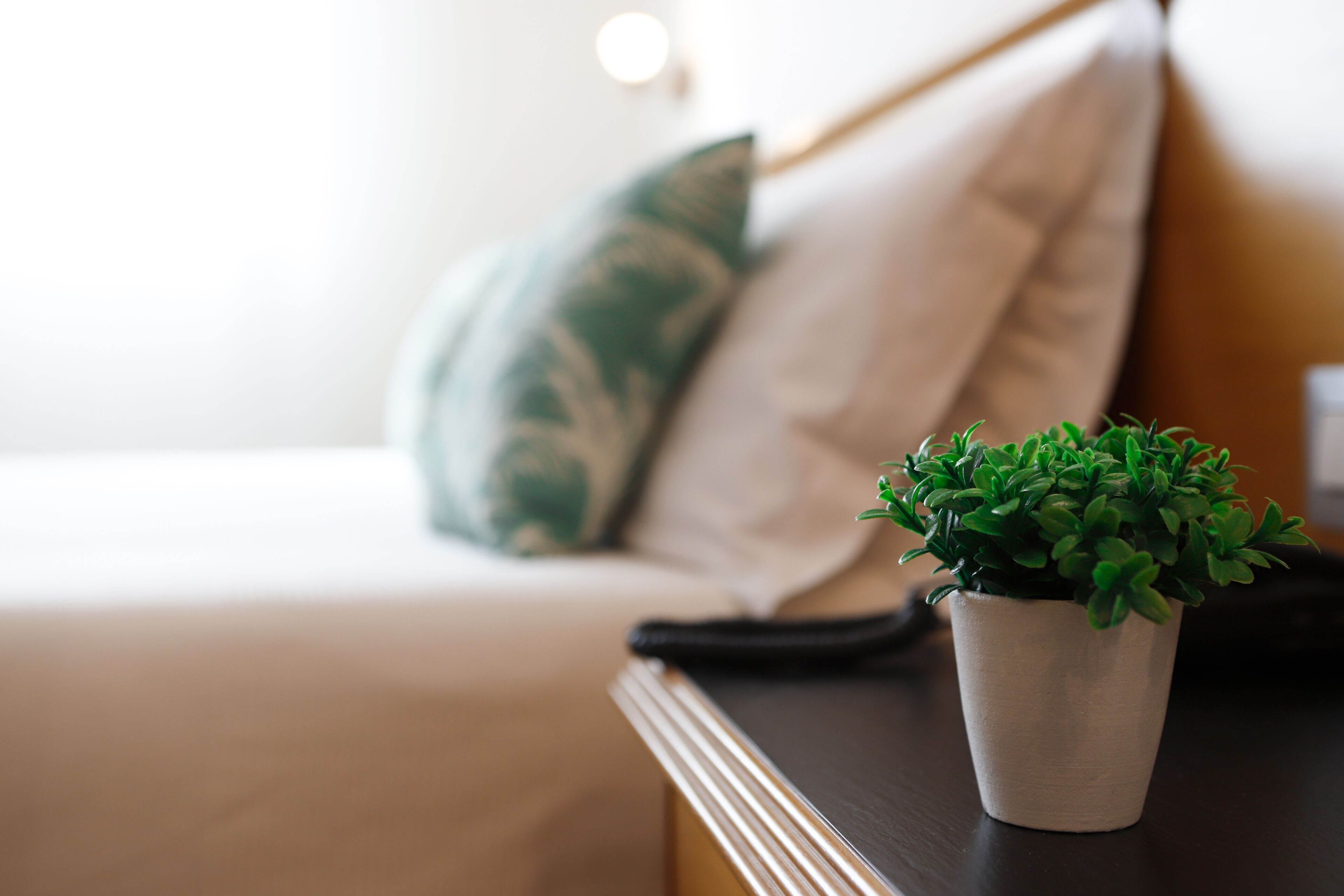 Foto - Pegasus Hotel