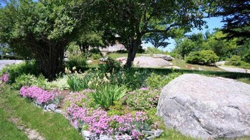 Habitación Deluxe doble de uso individual, baño privado | Vistas al jardín