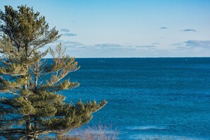 Un paysage côtier offrant une vue dégagée sur la mer, avec un arbre au premier plan.
